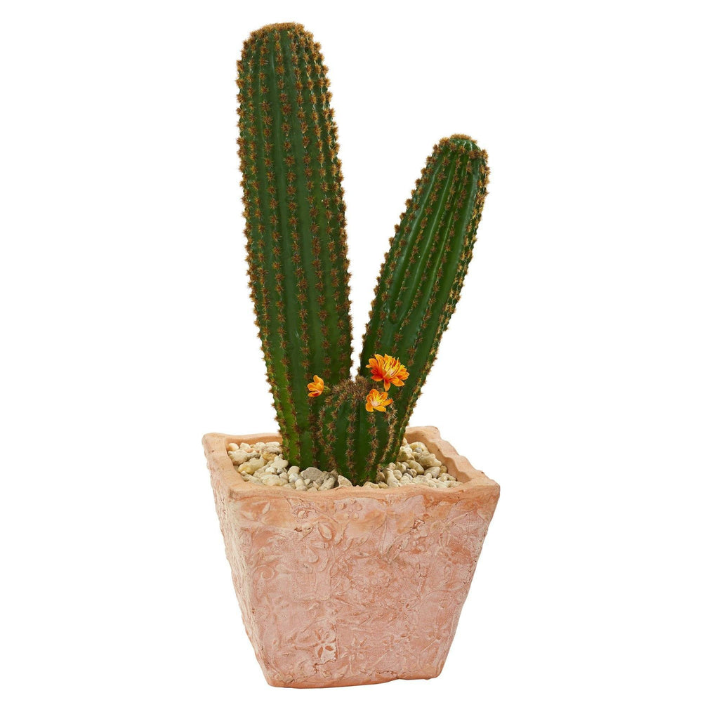23” Cactus Succulent Artificial Plant in Terra Cotta Planter
