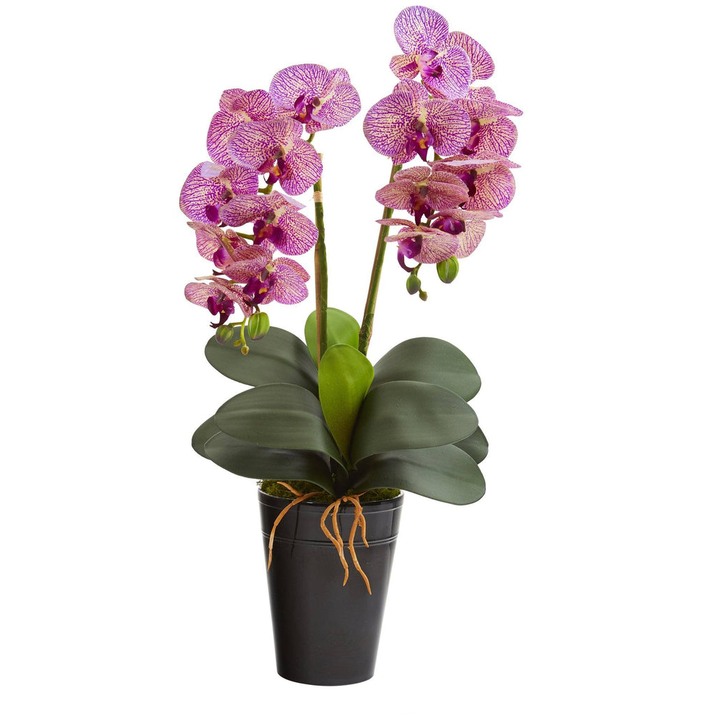 23” Double Phalaenopsis Orchid Artificial Arrangement in Vase