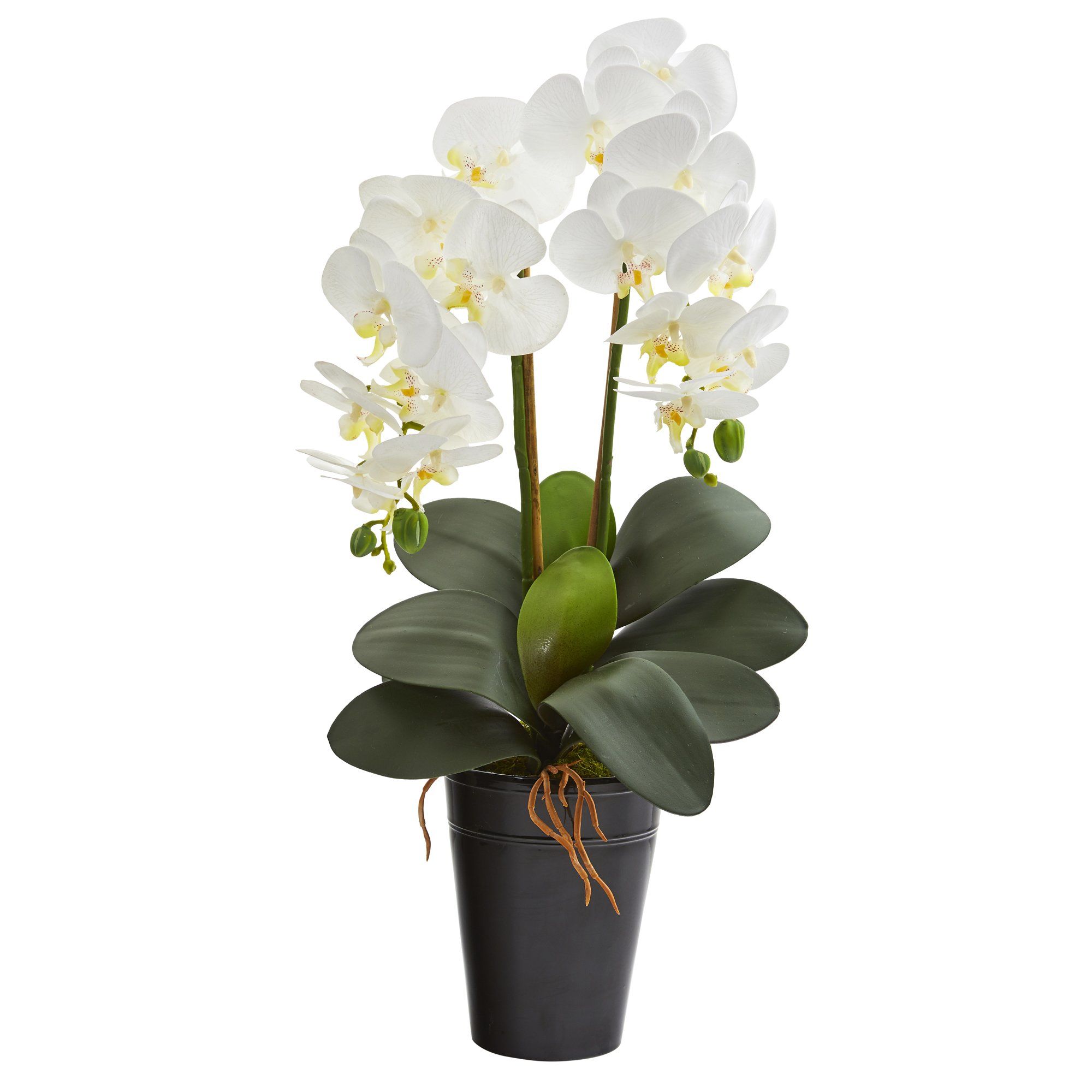 23” Double Phalaenopsis Orchid Artificial Arrangement in Vase