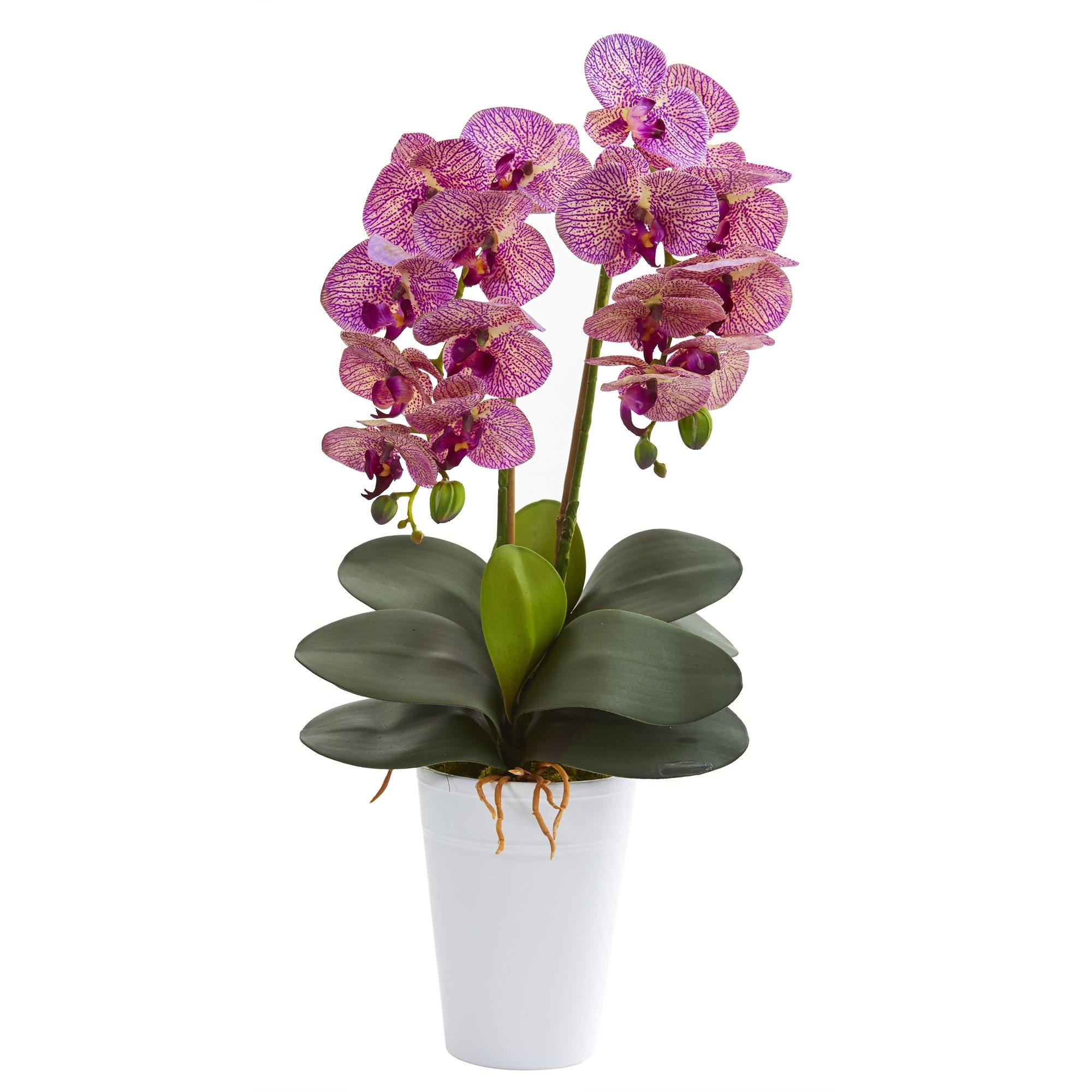 23” Double Phalaenopsis Orchid Artificial Arrangement in Vase