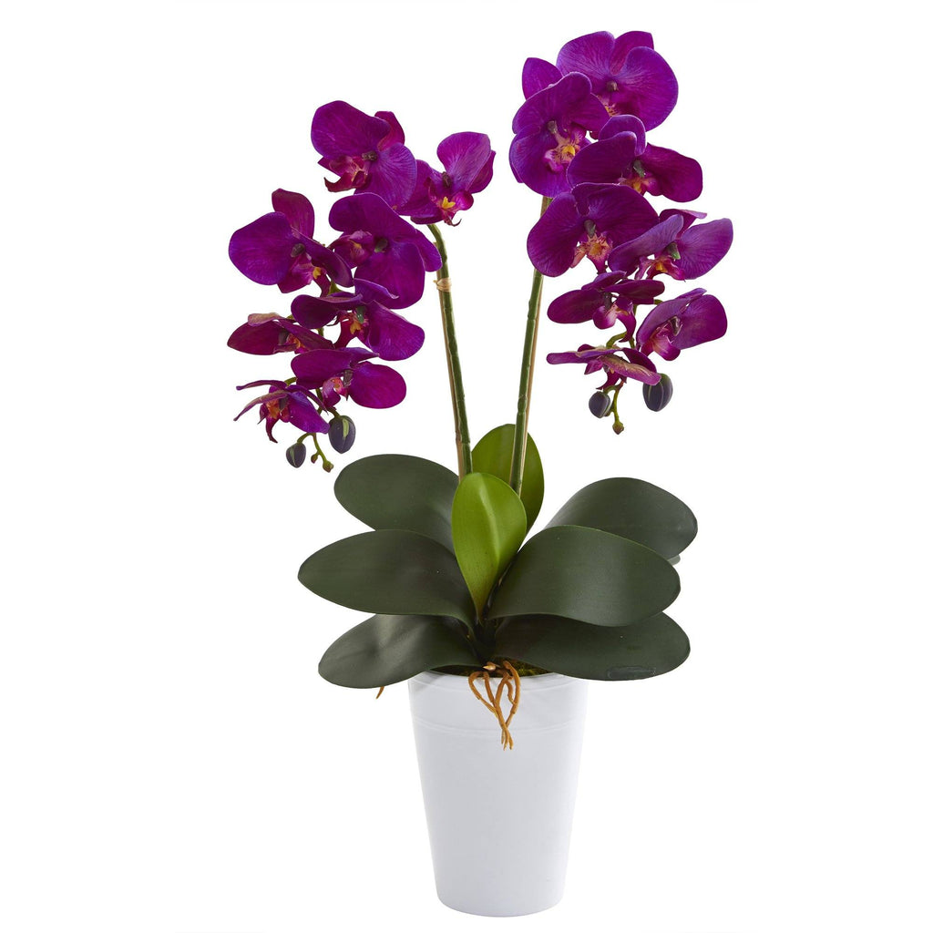 23” Double Phalaenopsis Orchid Artificial Arrangement in Vase