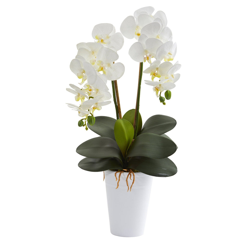 23” Double Phalaenopsis Orchid Artificial Arrangement in Vase