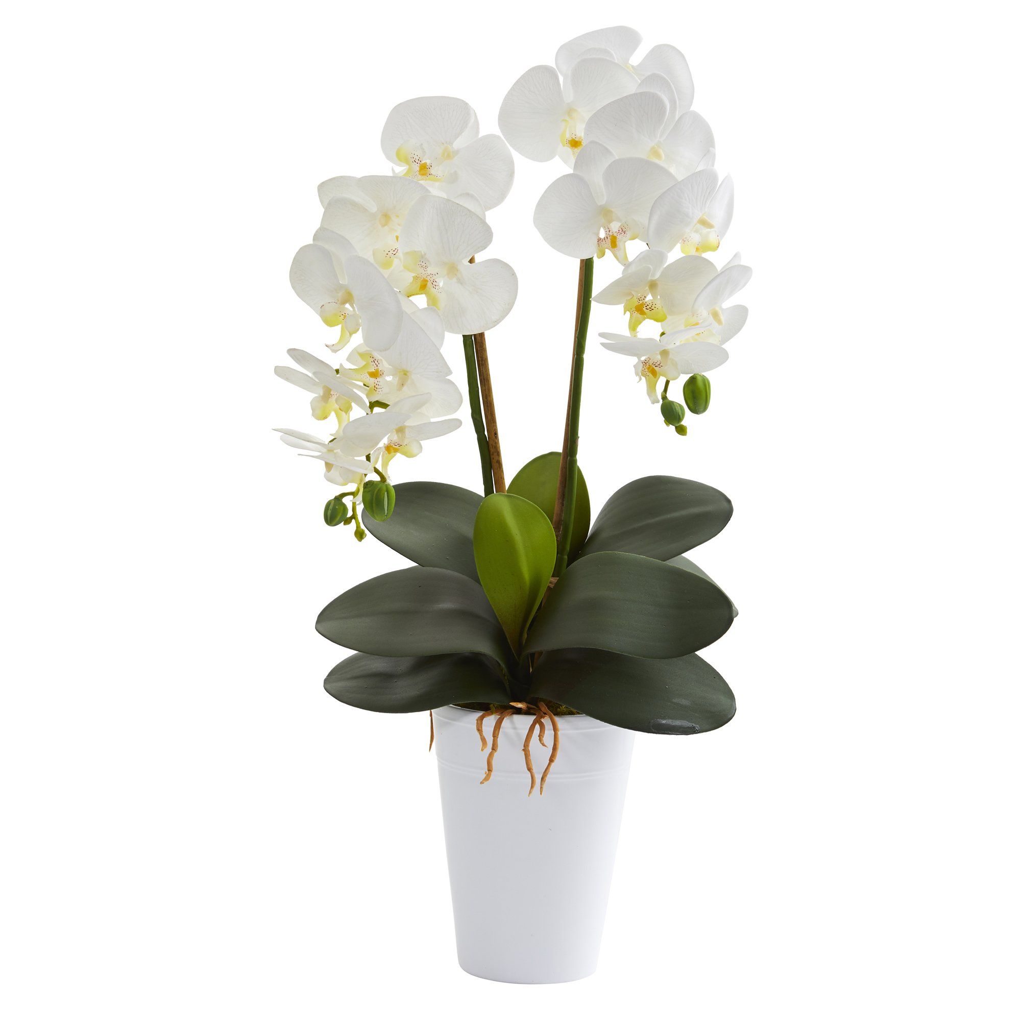 23” Double Phalaenopsis Orchid Artificial Arrangement in Vase