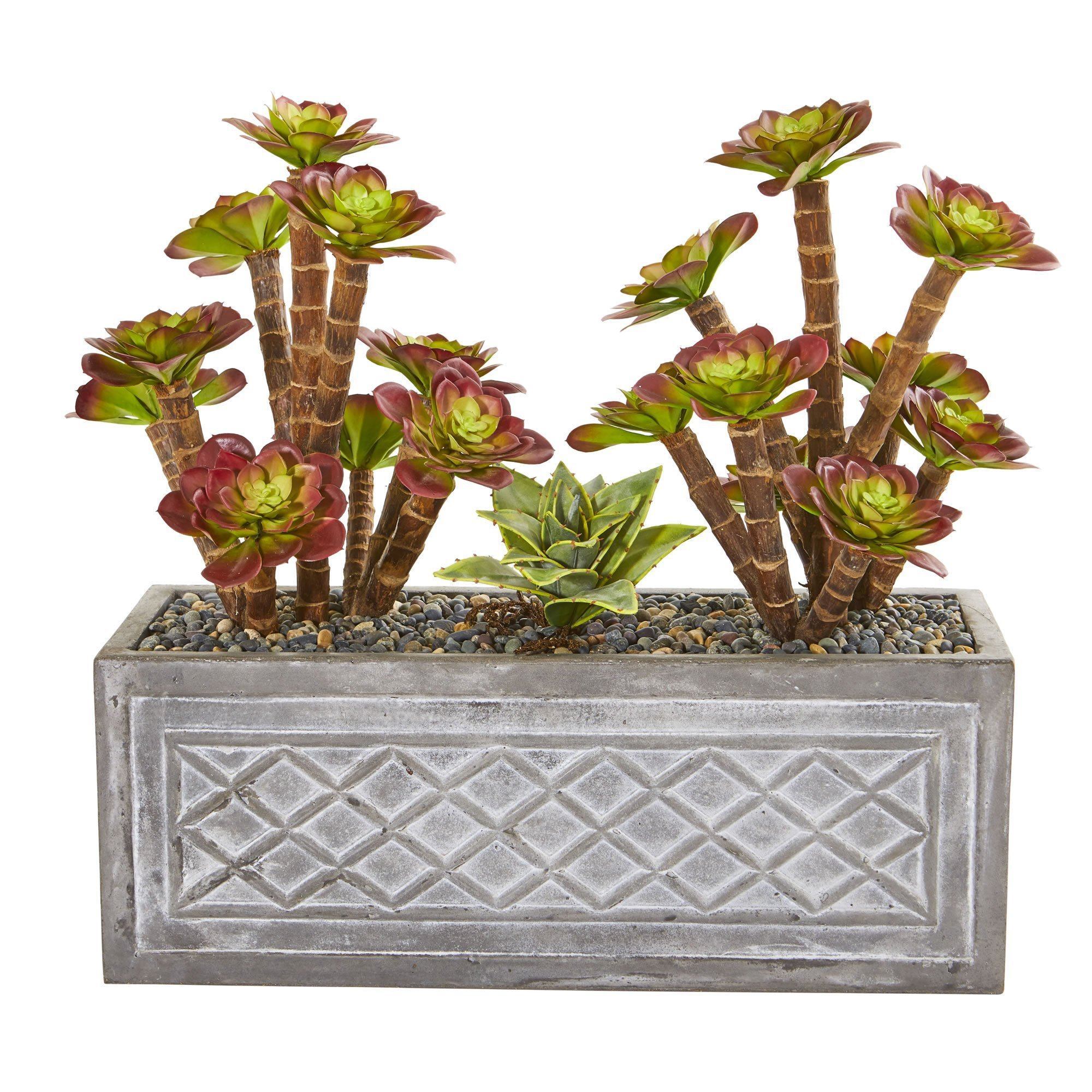 23” Echeverria Succulent Artificial Plant in Stone Planter