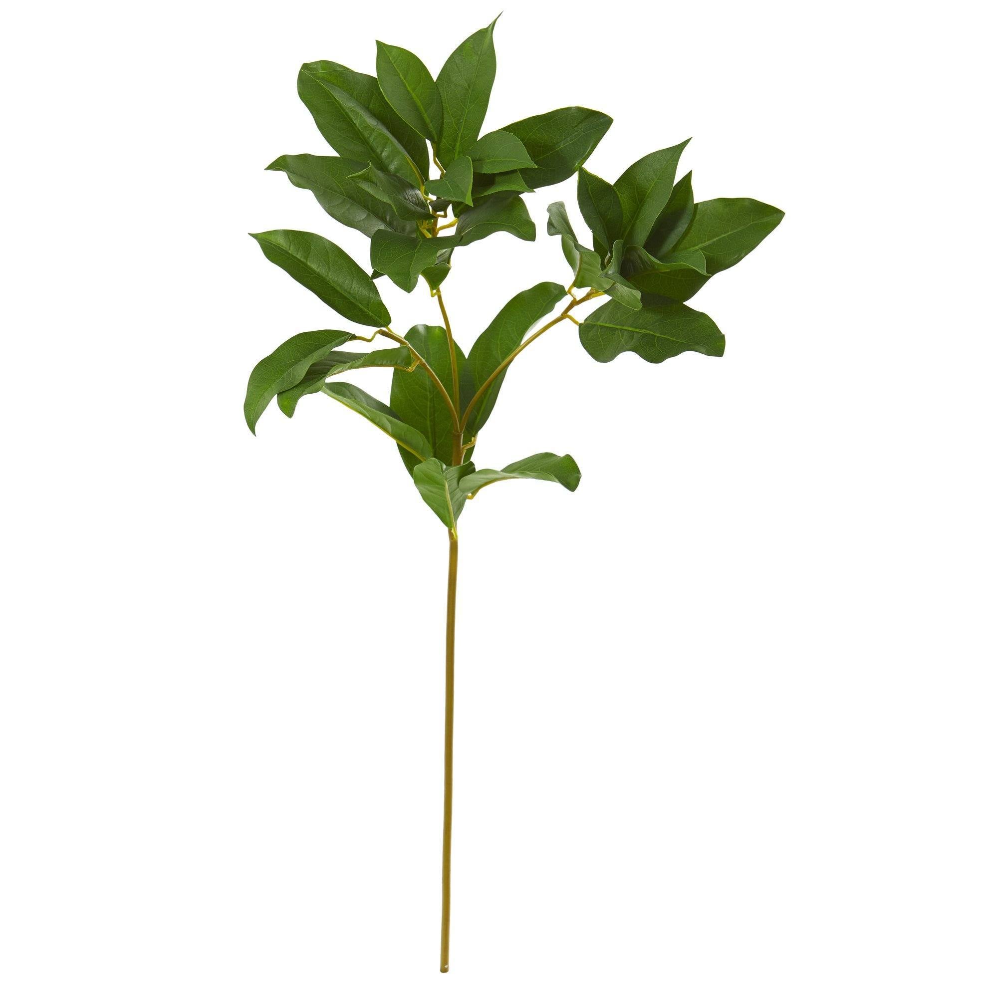 23” Laurel Leaf Artificial Spray (Set of 6)