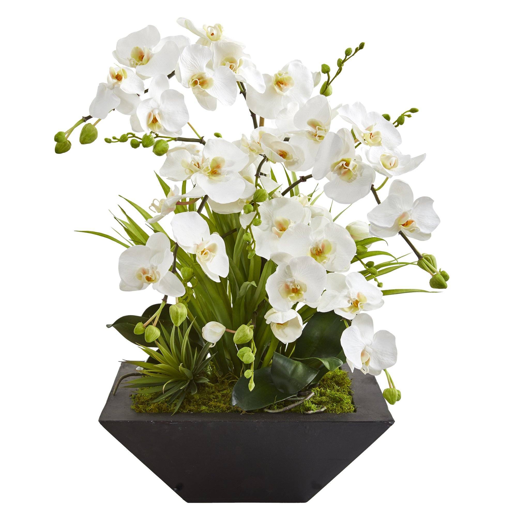 23” Phalaenopsis Orchid and Succulent Artificial Arrangement in Vase