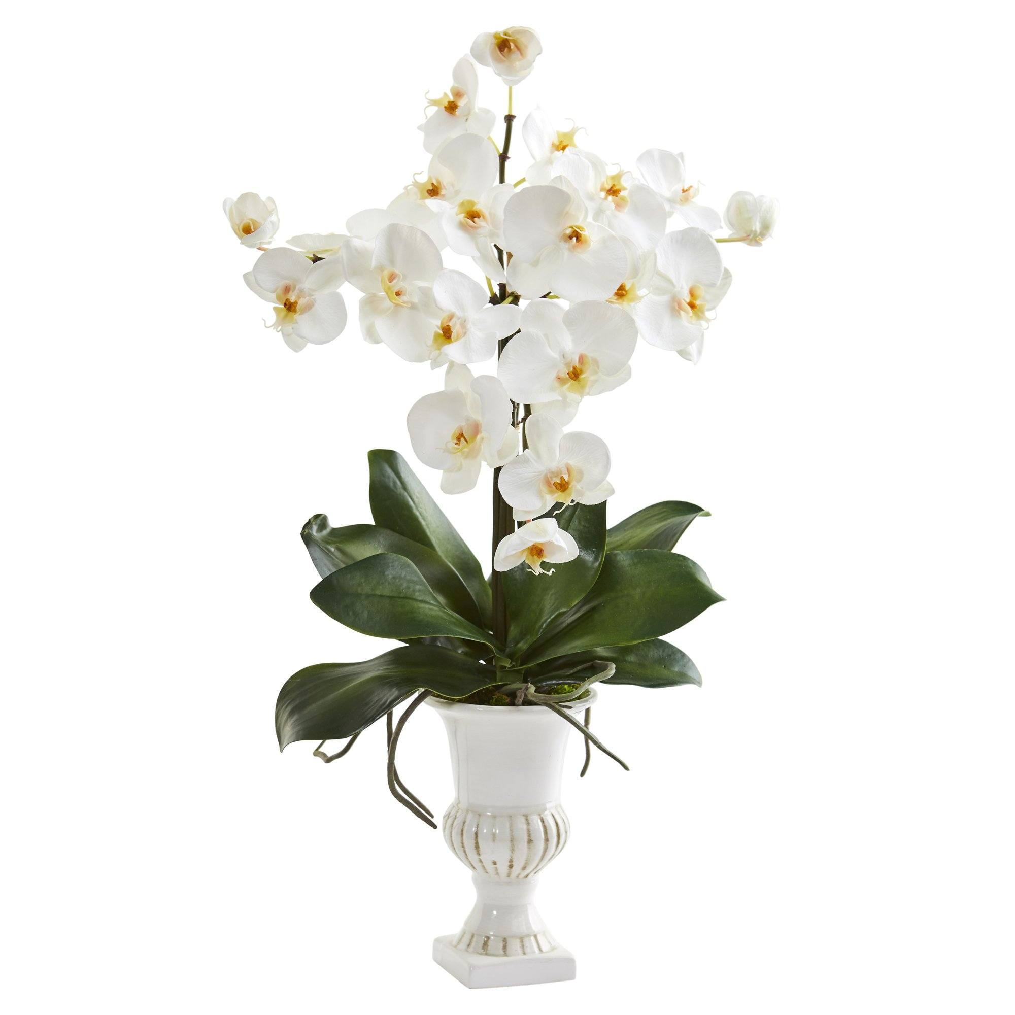 23” Phalaenopsis Orchid Artificial Arrangement in White Urn