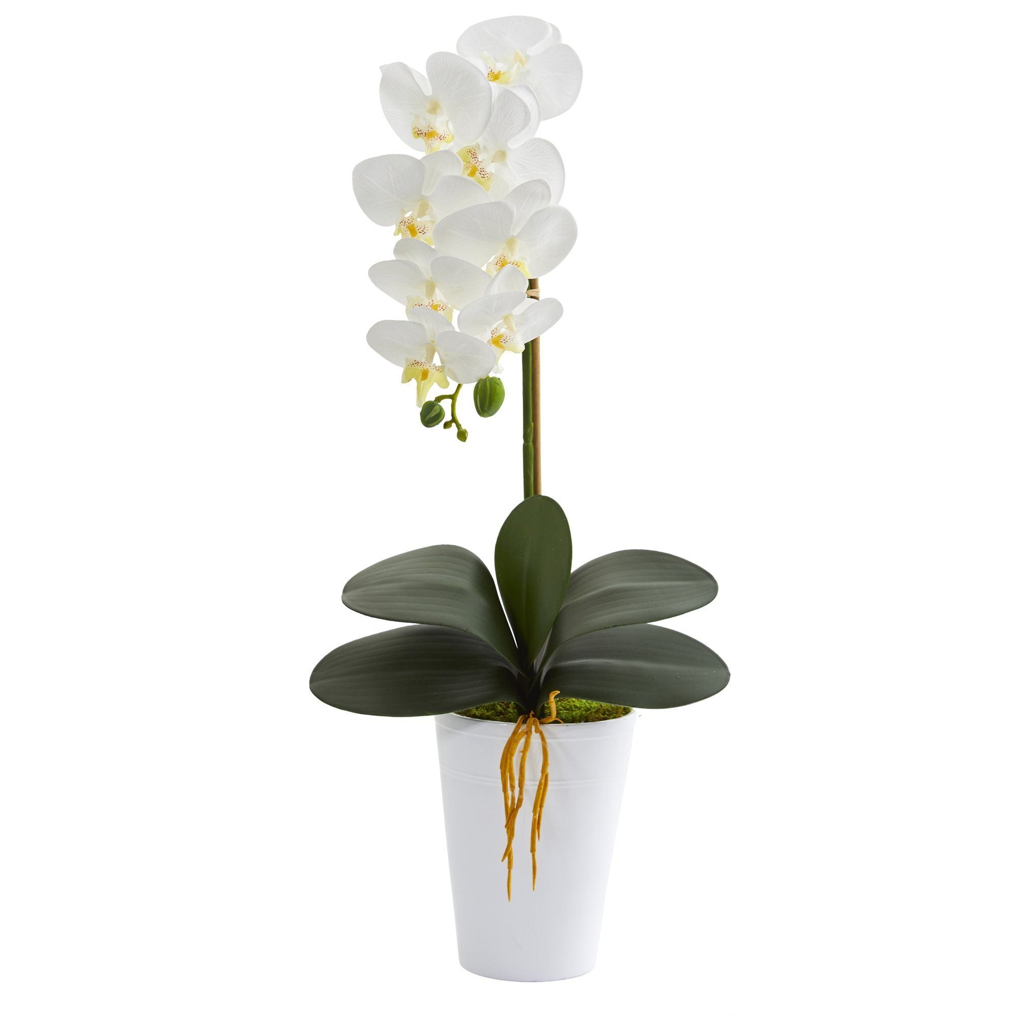 23” Phalaenopsis Orchid Artificial Arrangement in White Vase