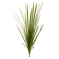 23”Agave Schottii (Set of 3)