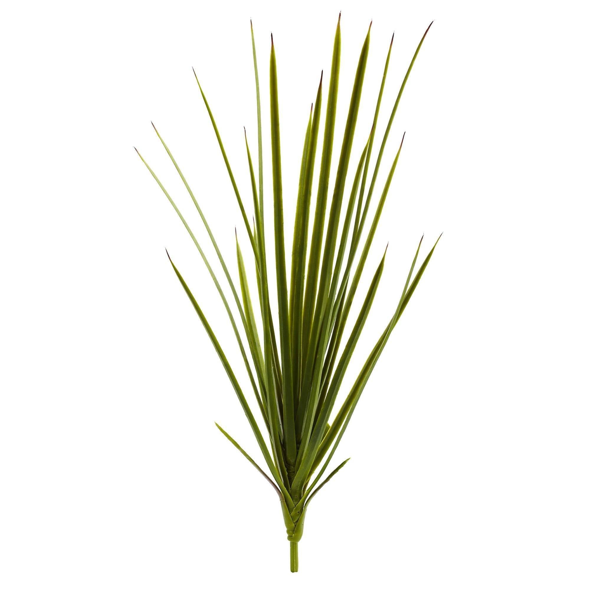 23”Agave Schottii (Set of 3)