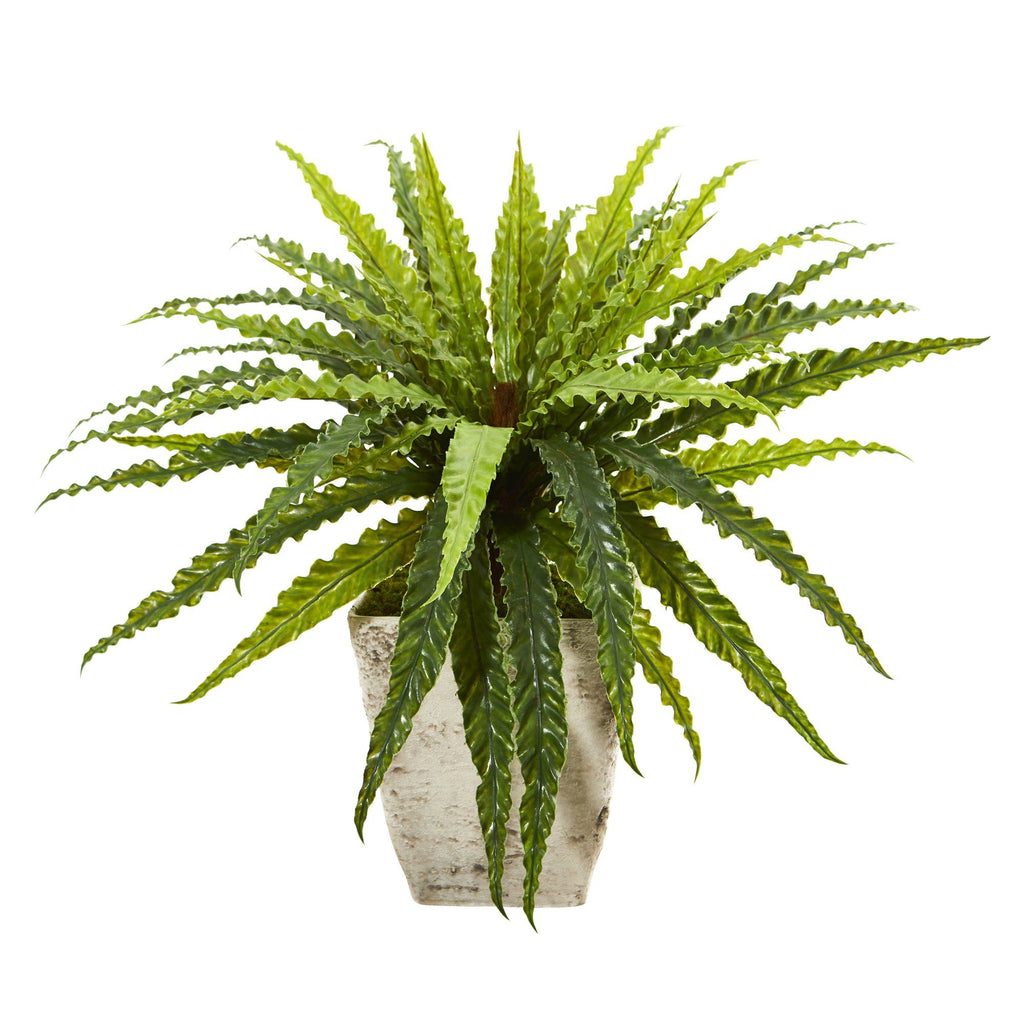 24” Asplenium Artificial Plant in Country White Planter