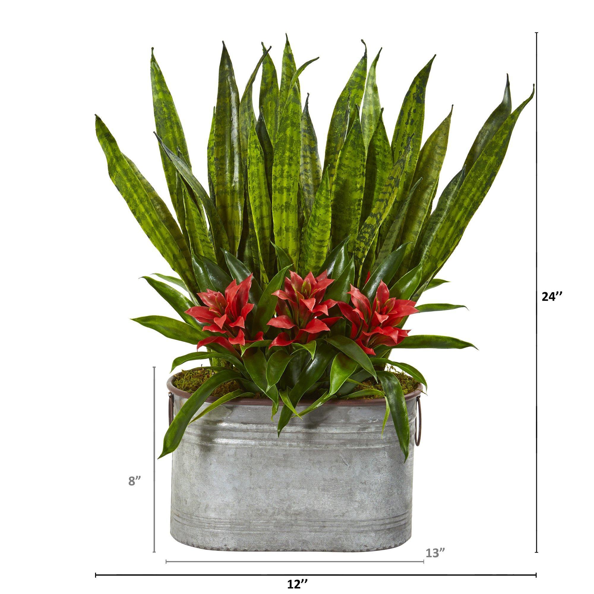 24” Bromeliad and Sansevieria Plant in Metal Planter