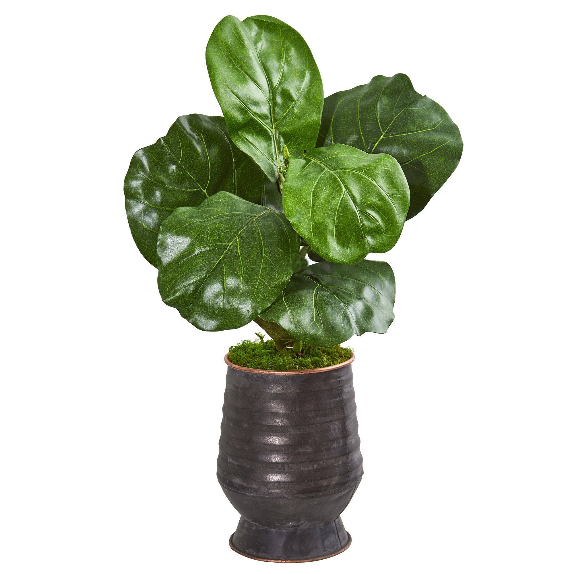 24” Fiddle Leaf Artificial Plant in Decorative Planter