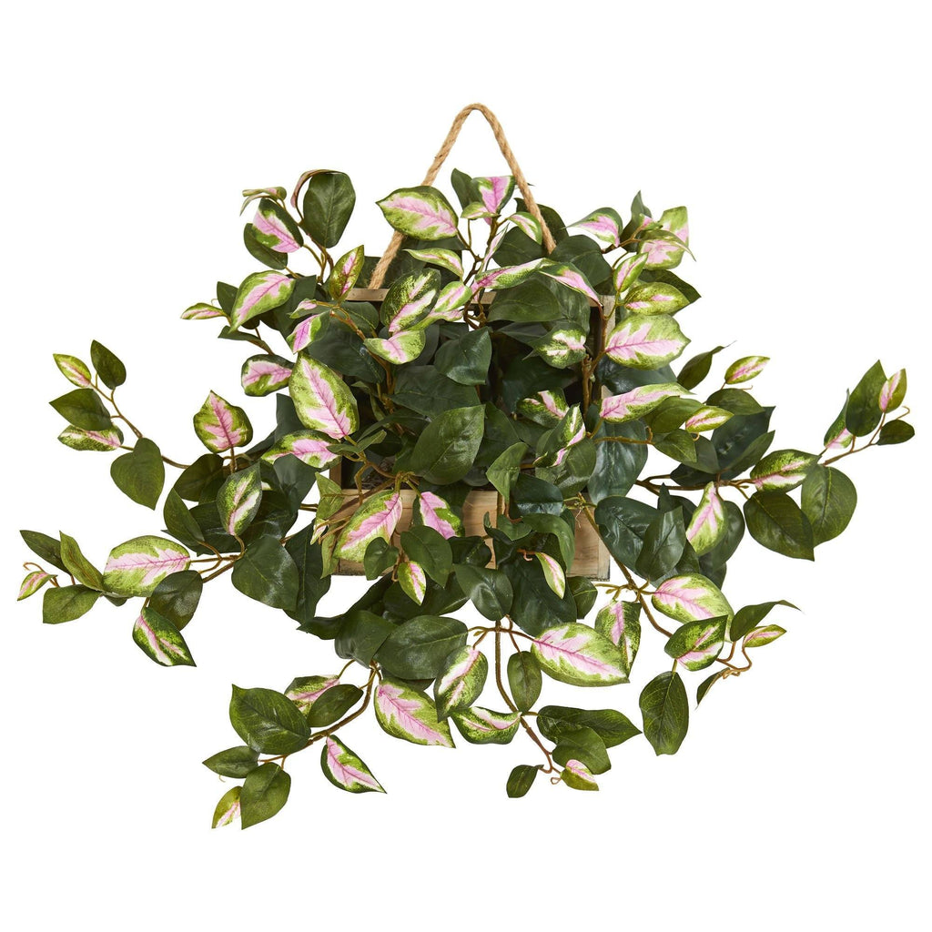 24” Hoya Artificial Plant in Decorative Hanging Frame