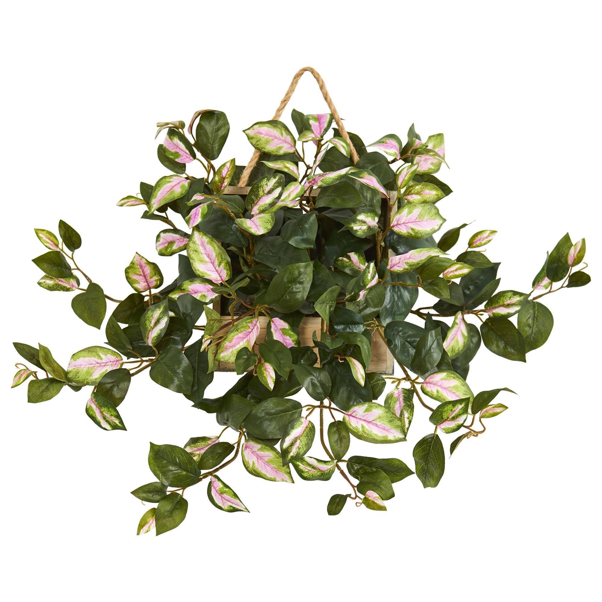 24” Hoya Artificial Plant in Decorative Hanging Frame