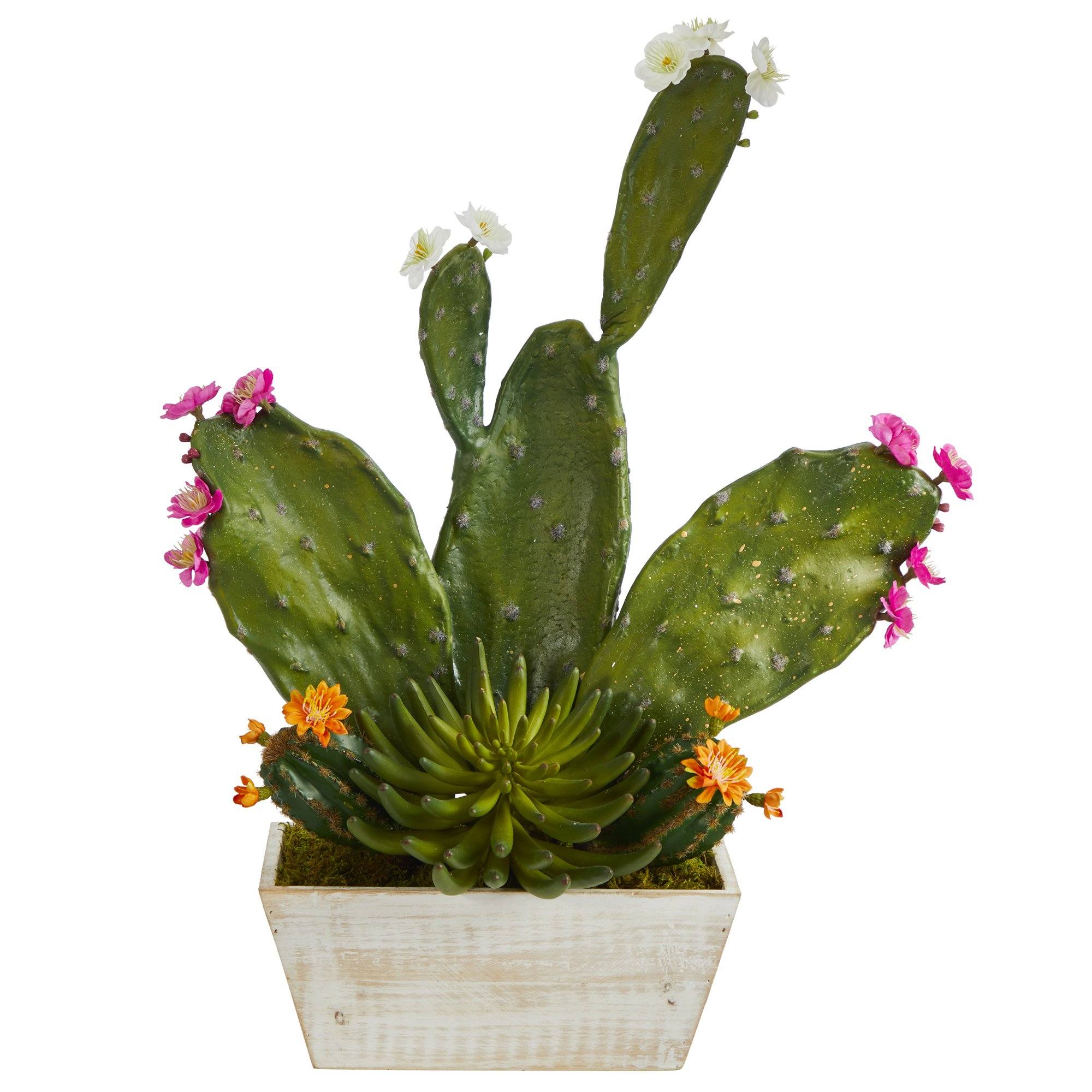24” Mixed Cactus Succulent Artificial Plant in White Wash Planter