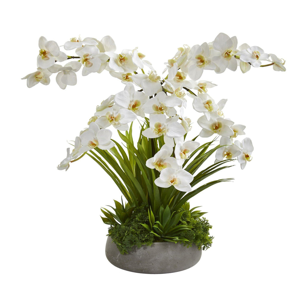 24” Phalaenopsis Orchid and Agave Artificial Arrangement in Gray Vase