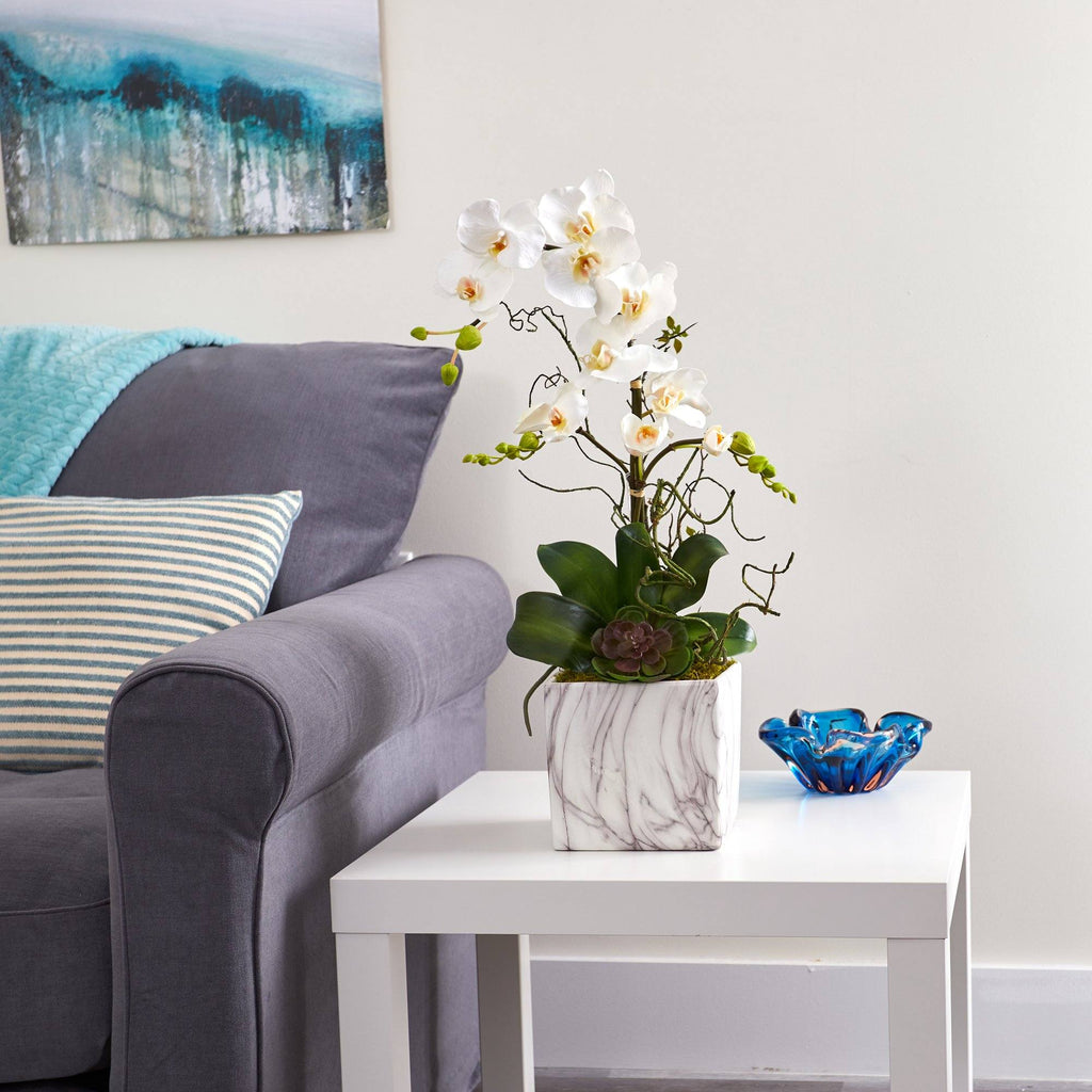 24” Phalaenopsis Orchid and Echeveria Succulent Artificial Arrangement in Marble Finished Vase