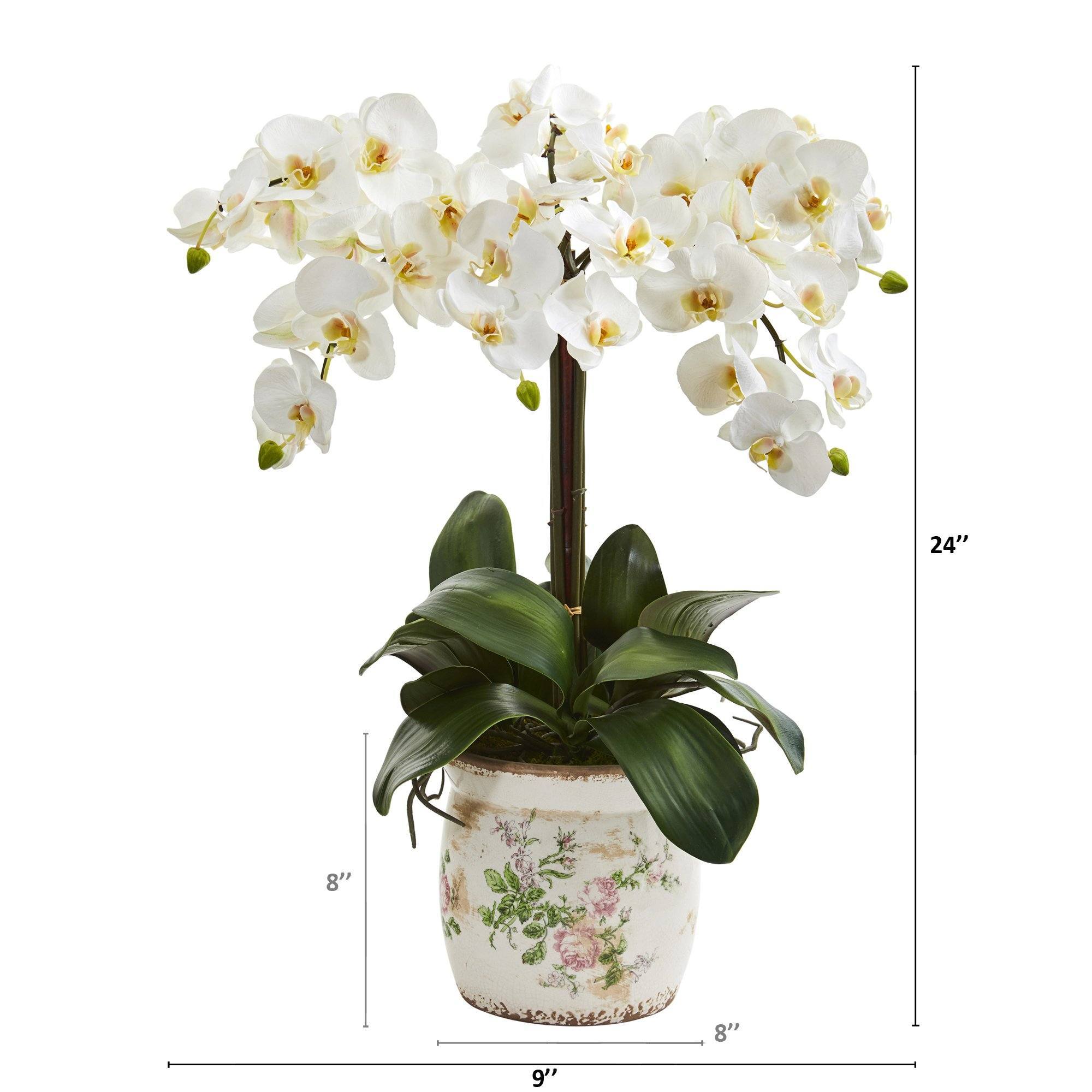 24” Phalaenopsis Orchid Artificial Arrangement in Floral Vase