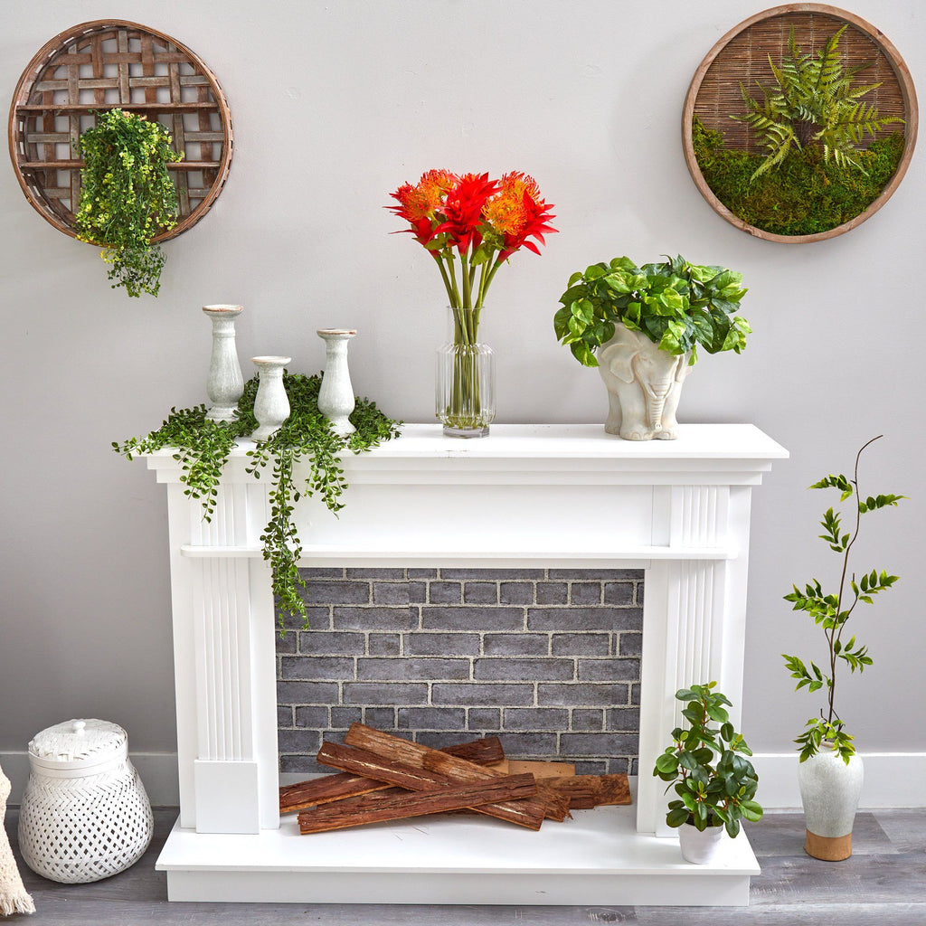 24” Pincushion and Star Bromeliad Artificial Arrangement in Glass Vase