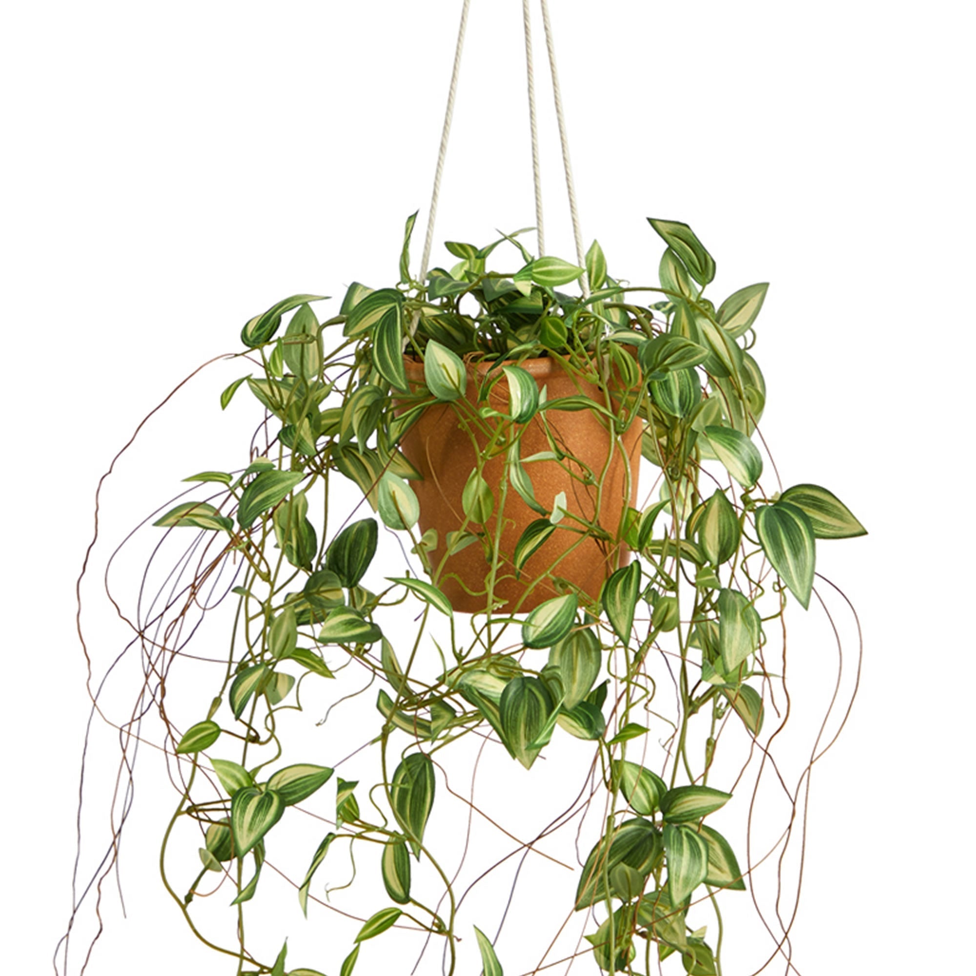 24” Pothos Artificial Plant in Hanging Planter