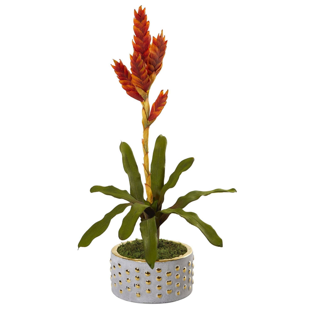 24” Tropical Bromeliad Artificial Plant in Bowl with Gold Trimming
