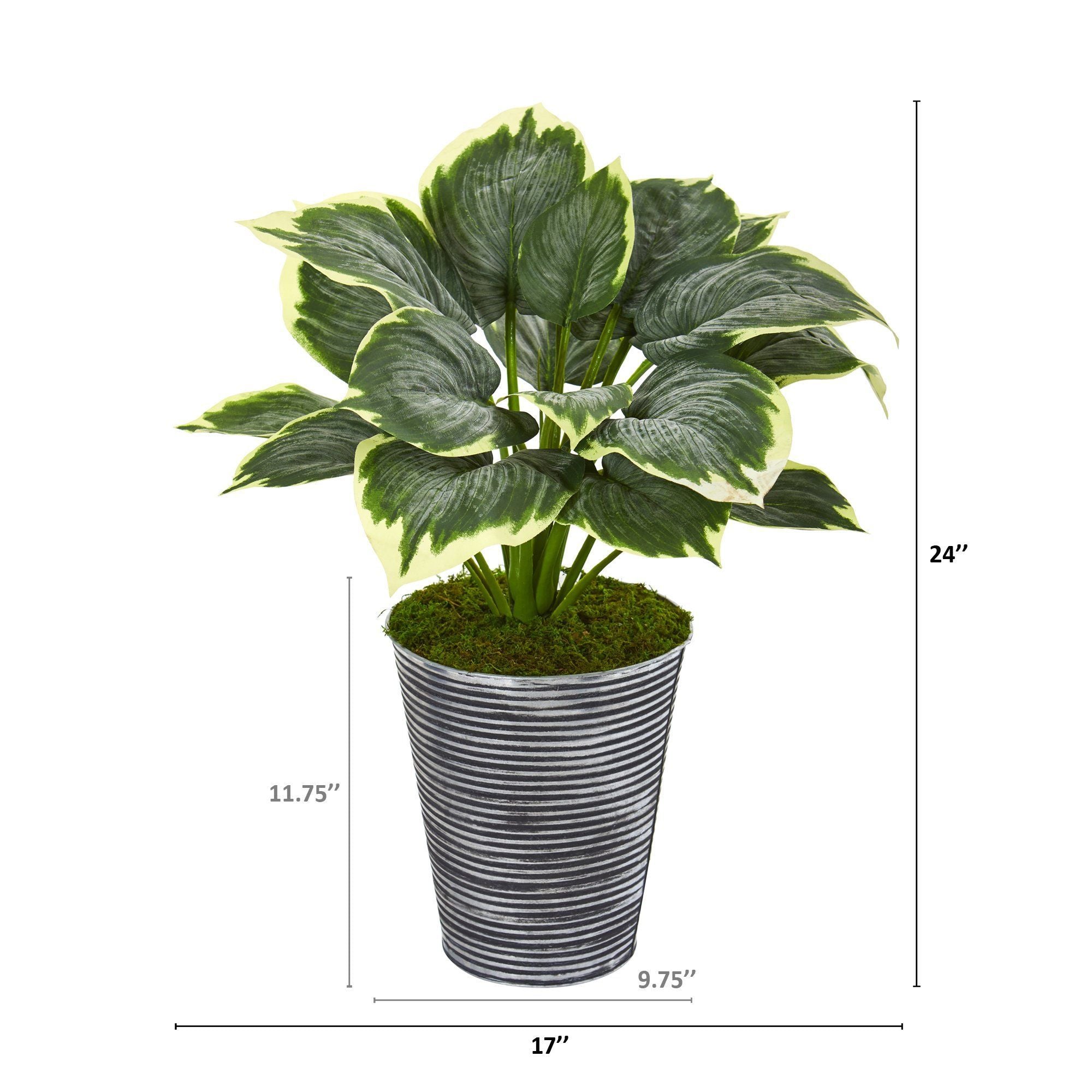24” Variegated Hosta Artificial Plant in Tin Planter