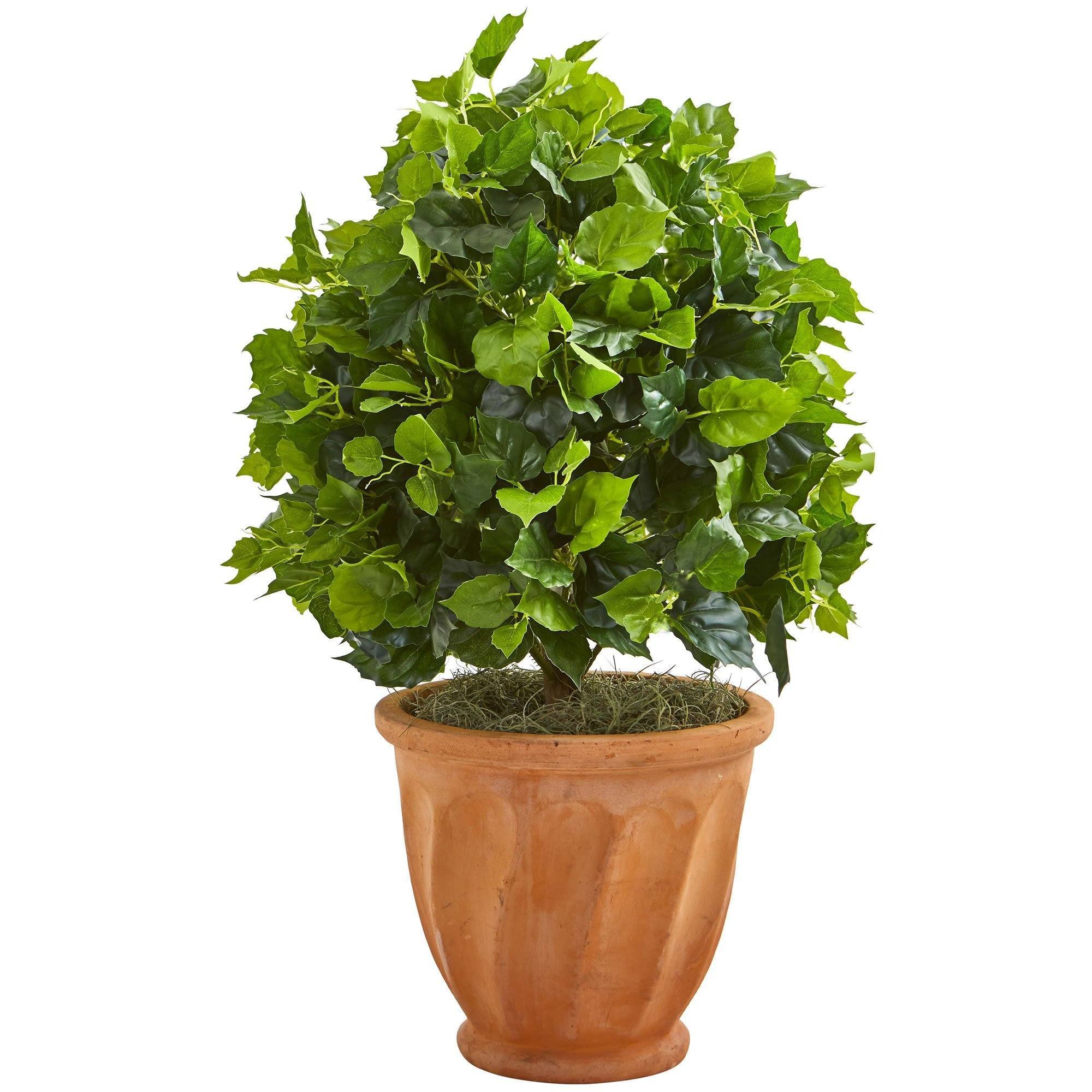 2.5’ Ficus Artificial Tree in Terra Cotta Planter