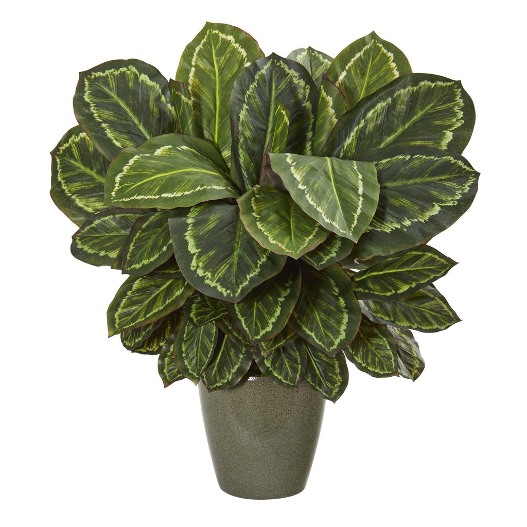 25” Maranta Artificial Plant in Decorative Planter