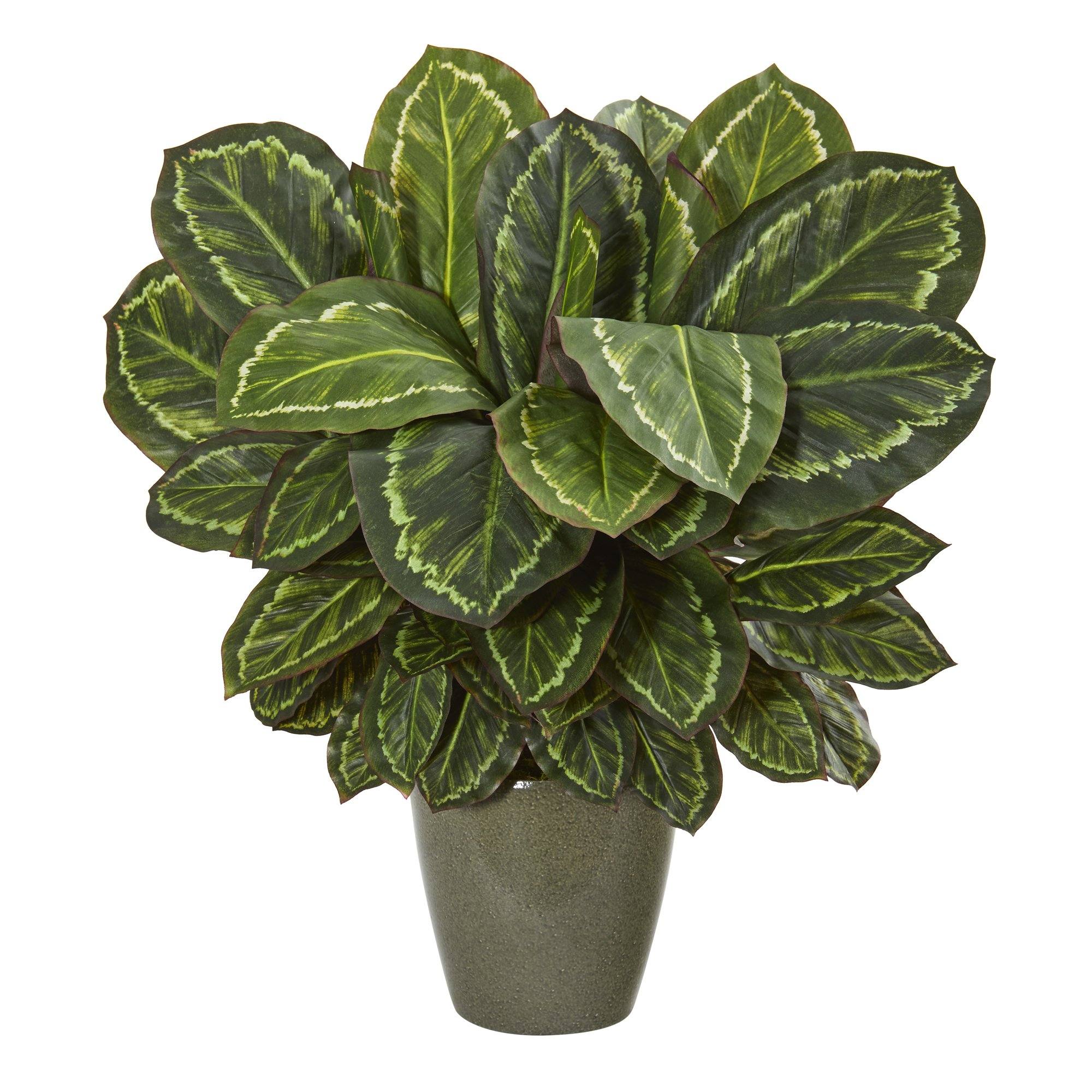 25” Maranta Artificial Plant in Decorative Planter