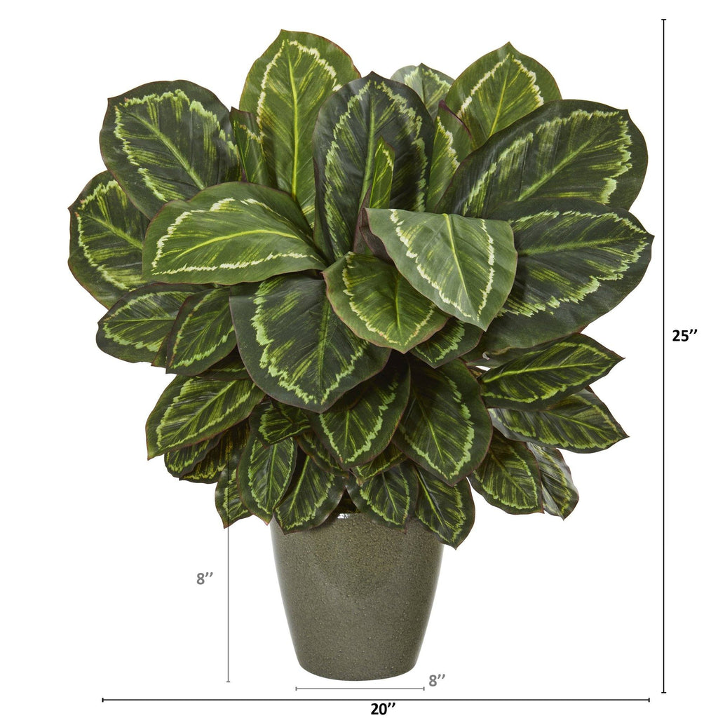 25” Maranta Artificial Plant in Decorative Planter
