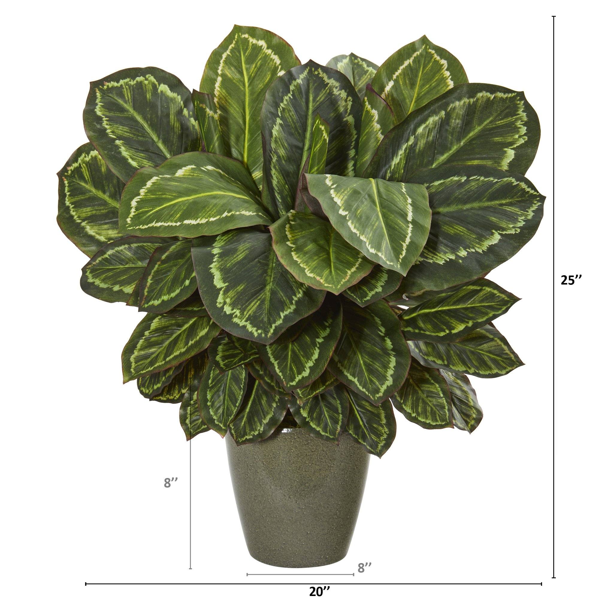 25” Maranta Artificial Plant in Decorative Planter