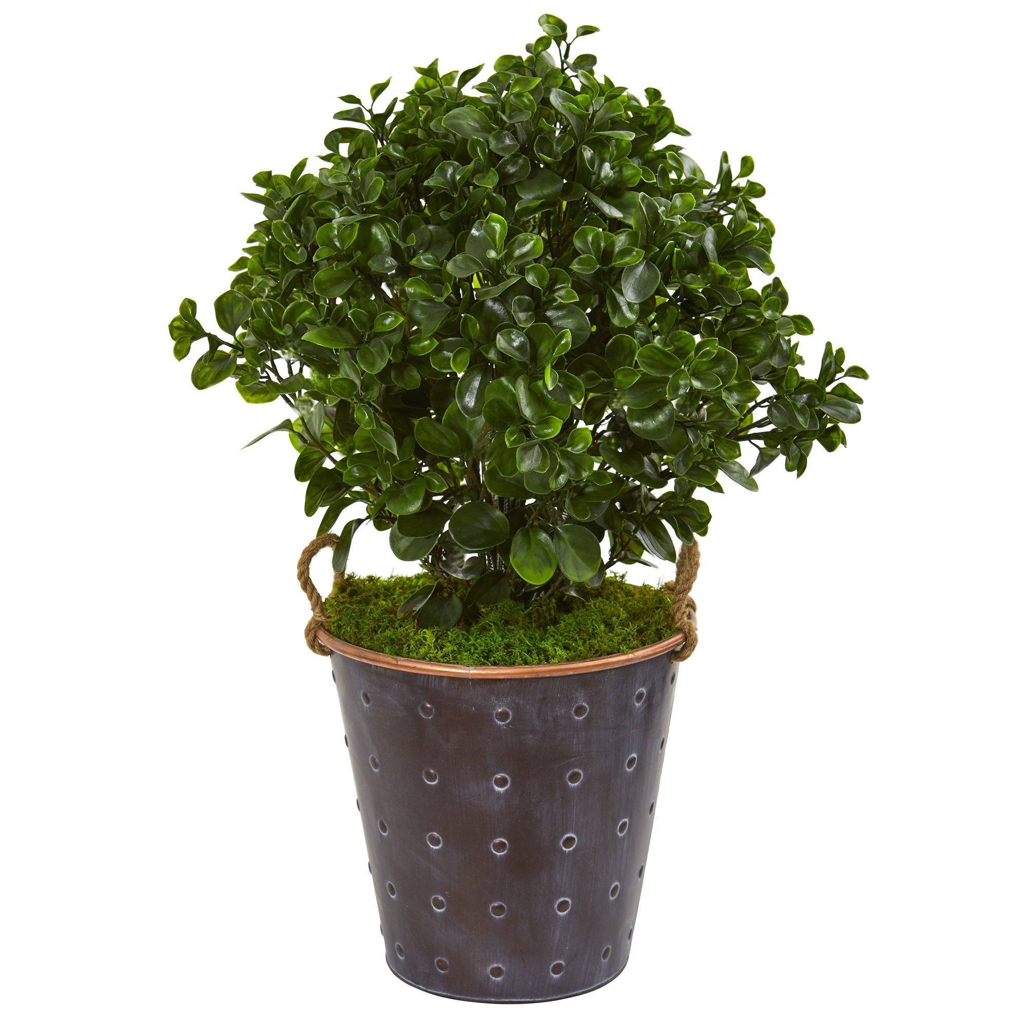 2.5’ Peperomia Artificial Plant in Metal Planter (Indoor/Outdoor)