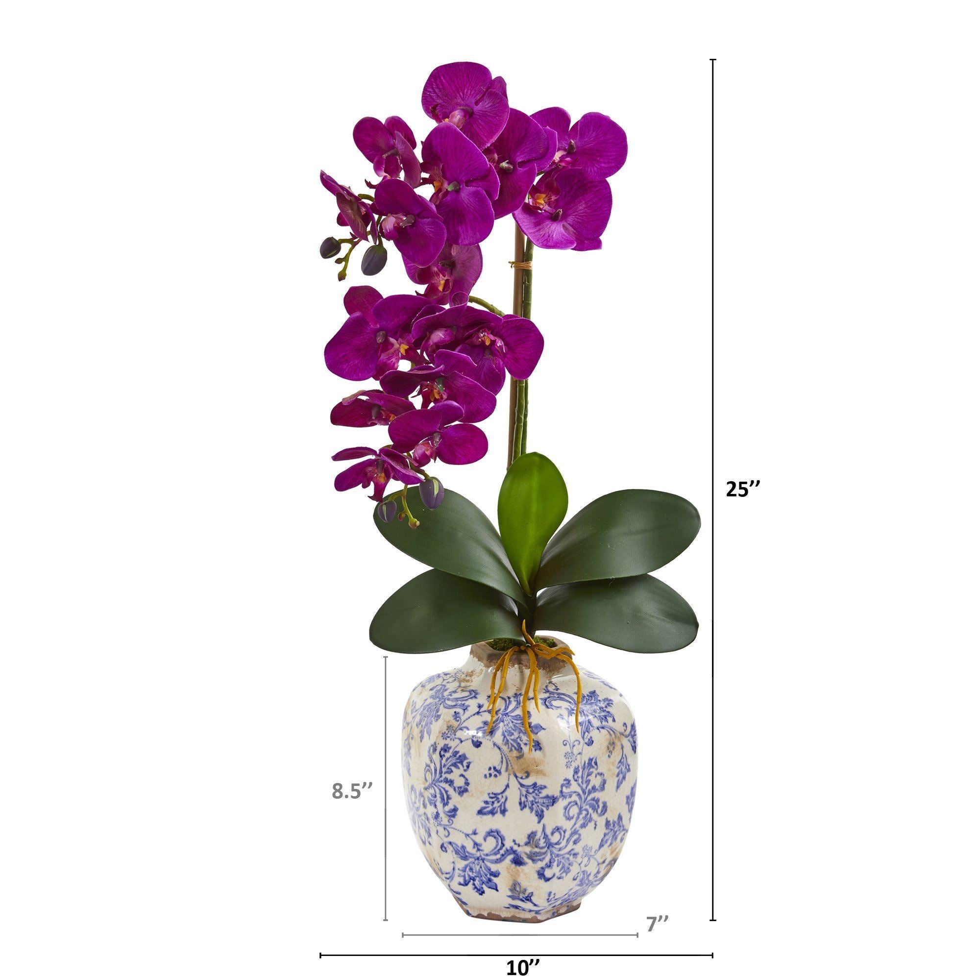 25” Phalaenopsis Orchid Arrangement in Decorative Vase