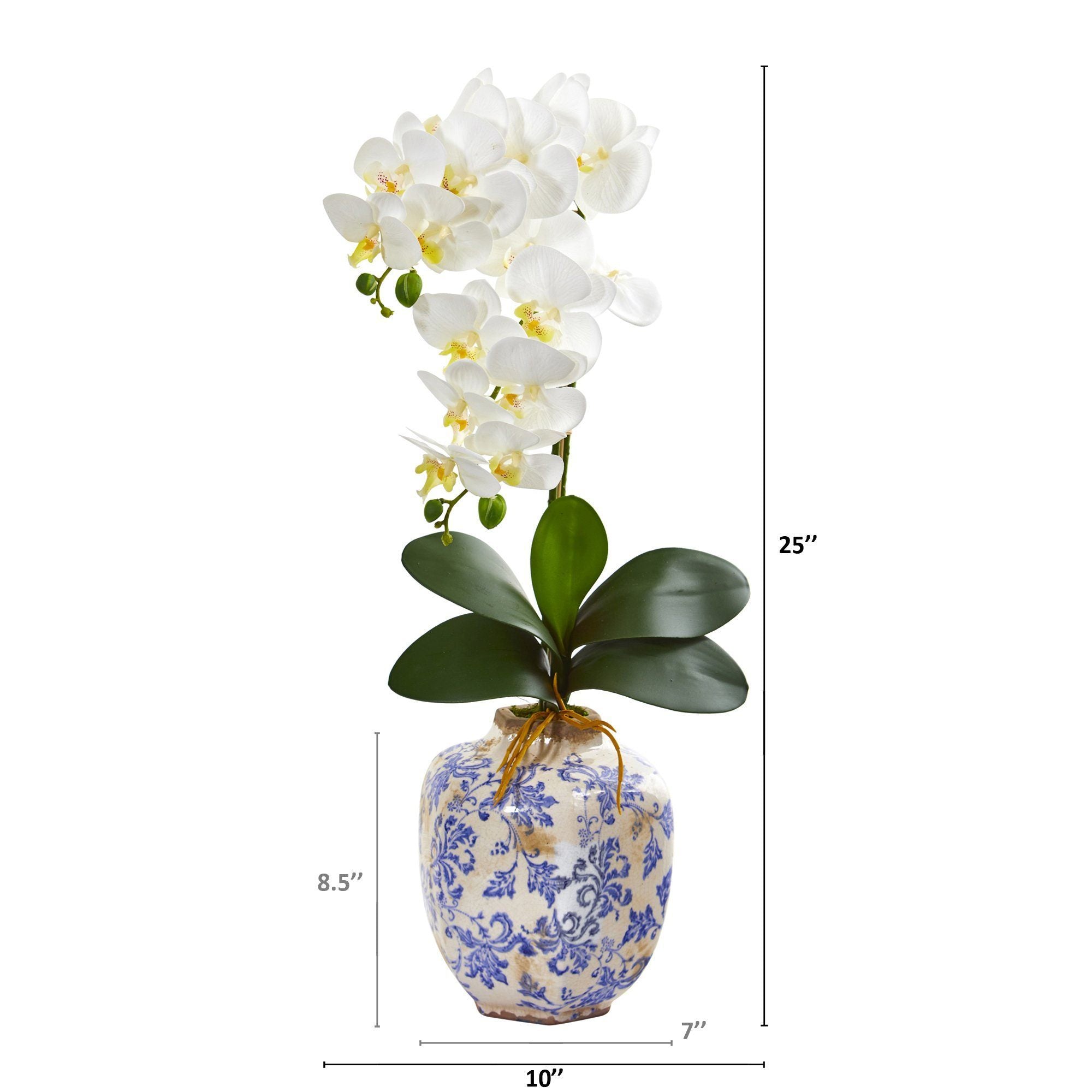 25” Phalaenopsis Orchid Arrangement in Decorative Vase