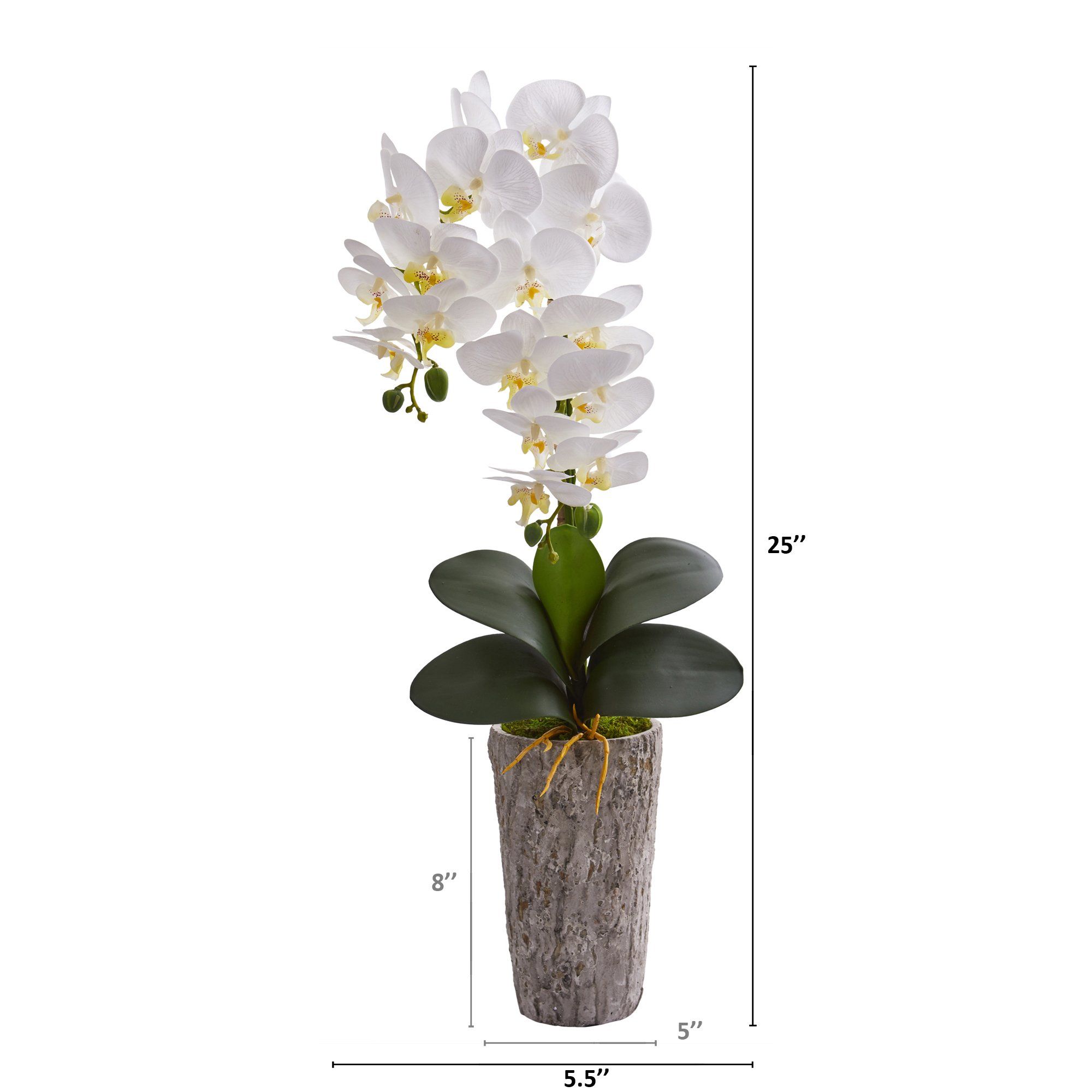 25” Phalaenopsis Orchid Artificial Arrangement in Weathered Oak Vase