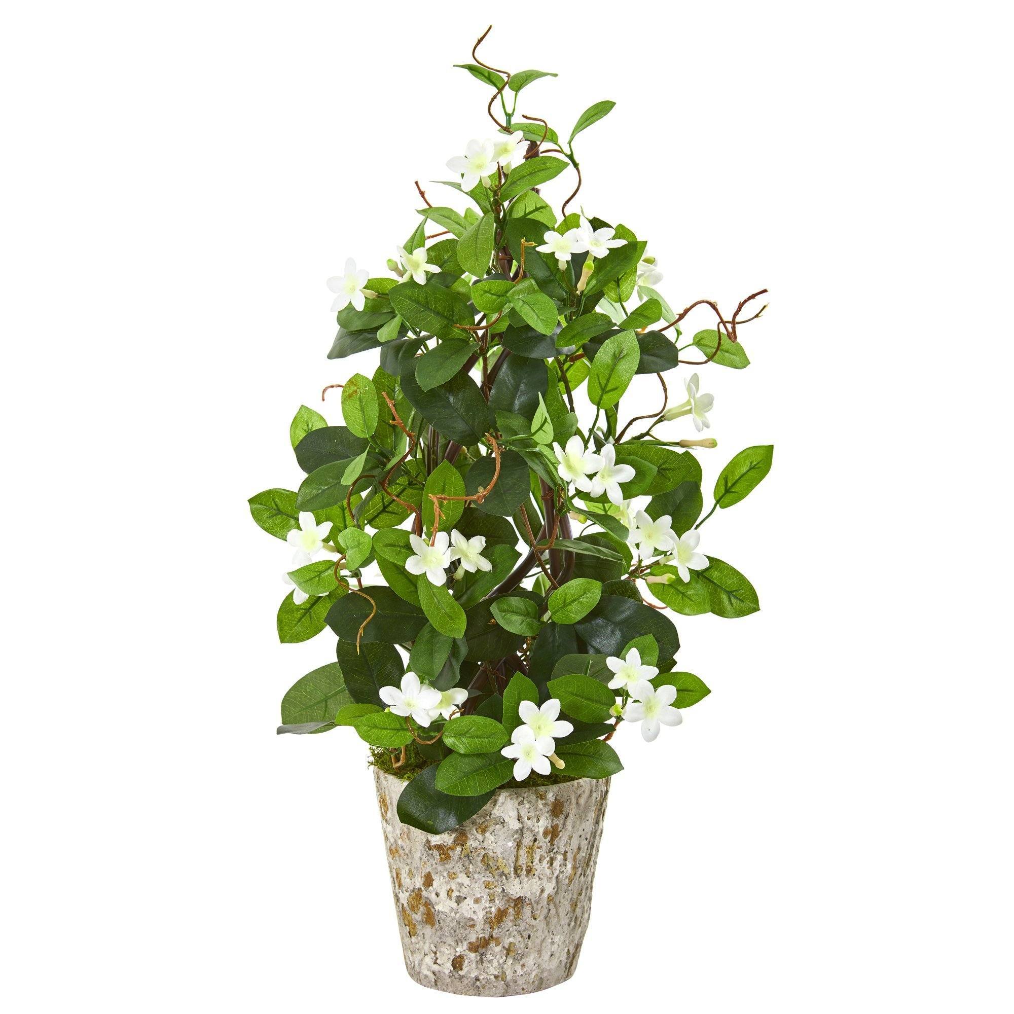 25” Stephanotis Artificial Climbing Plant in Weathered Planter
