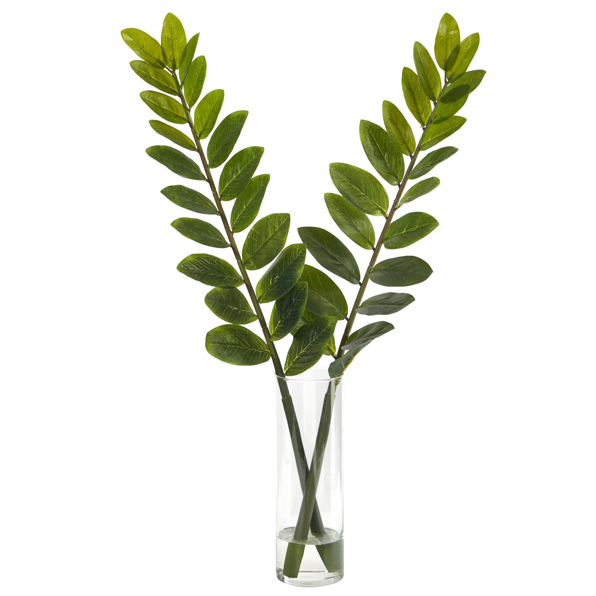 25” Zamioculcas Artificial Plant in Glass Planter