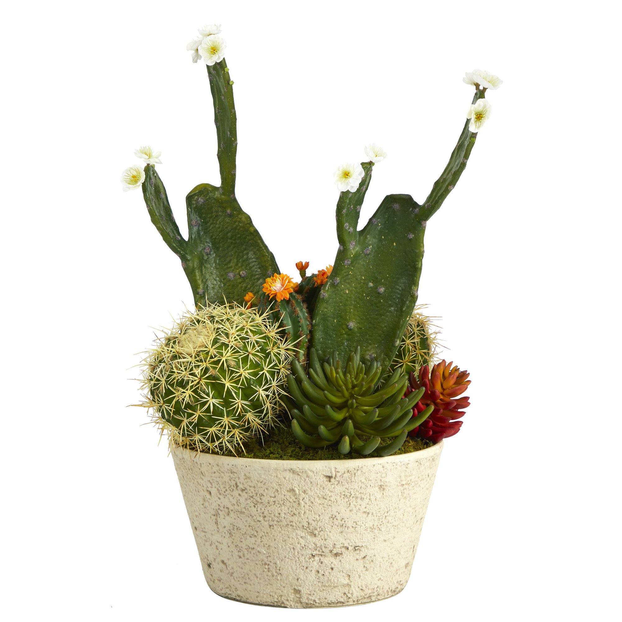 26” Cactus Garden Artificial Plant in White Planter