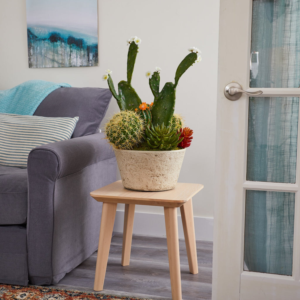 26” Cactus Garden Artificial Plant in White Planter