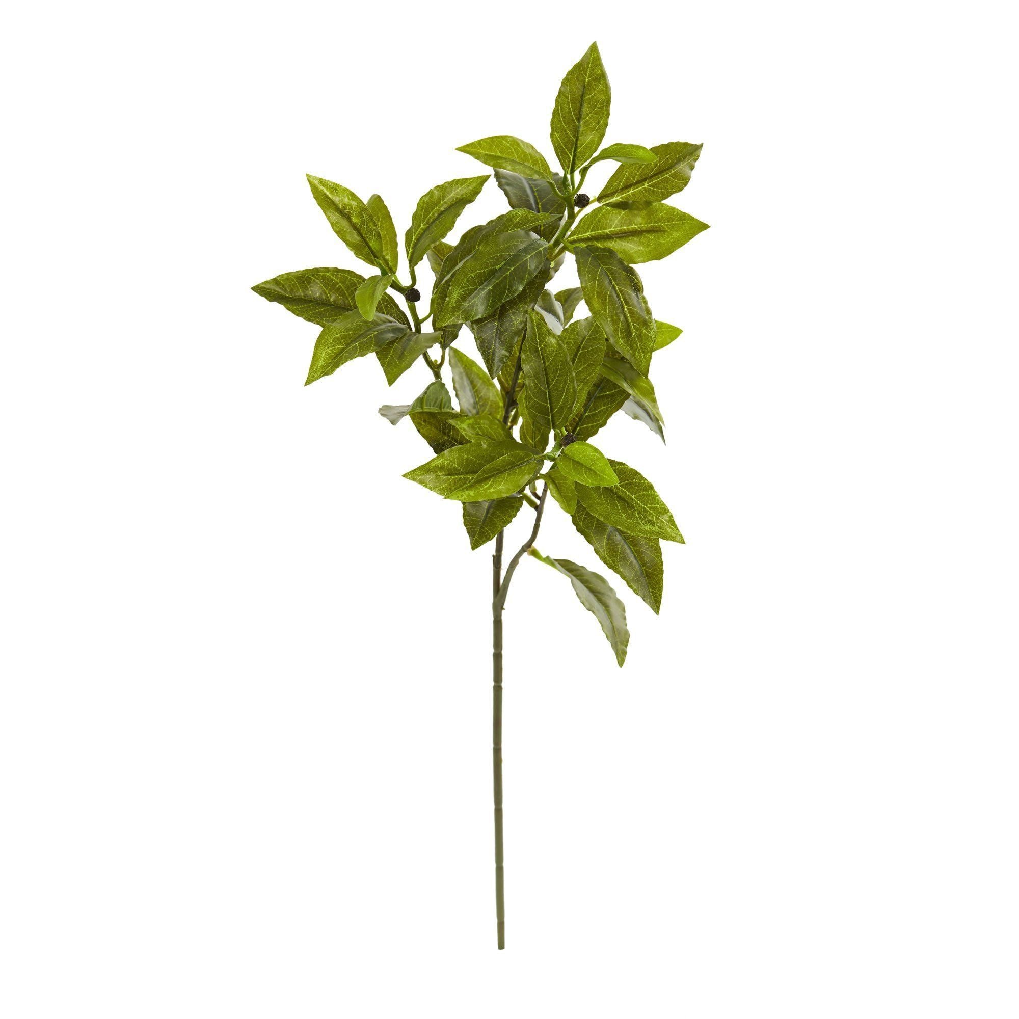 26” Coffee Leaf Artificial Plant (Set of 12) (Real Touch)