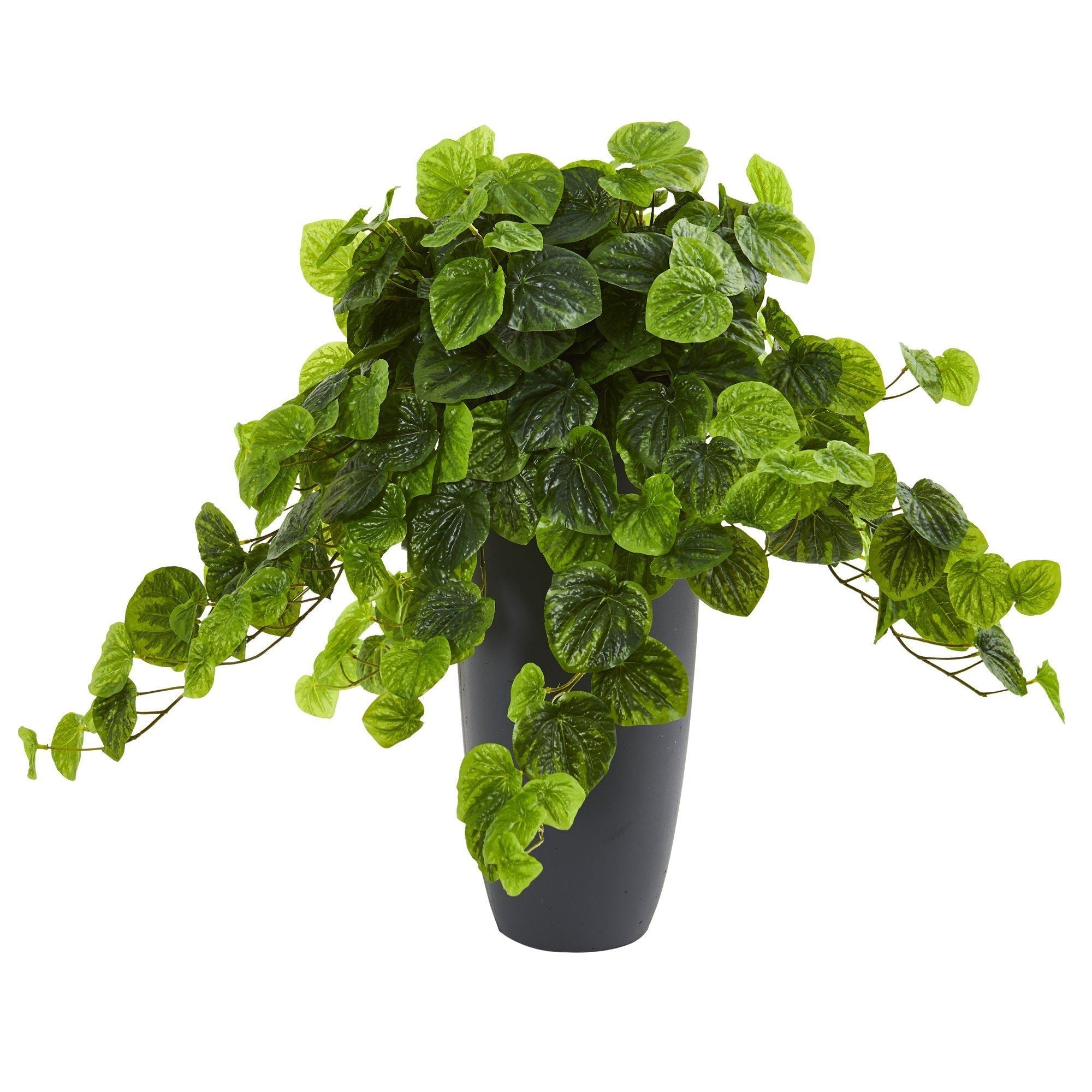26” Peperomia Artificial Plant in Decorative Planter (Real Touch)