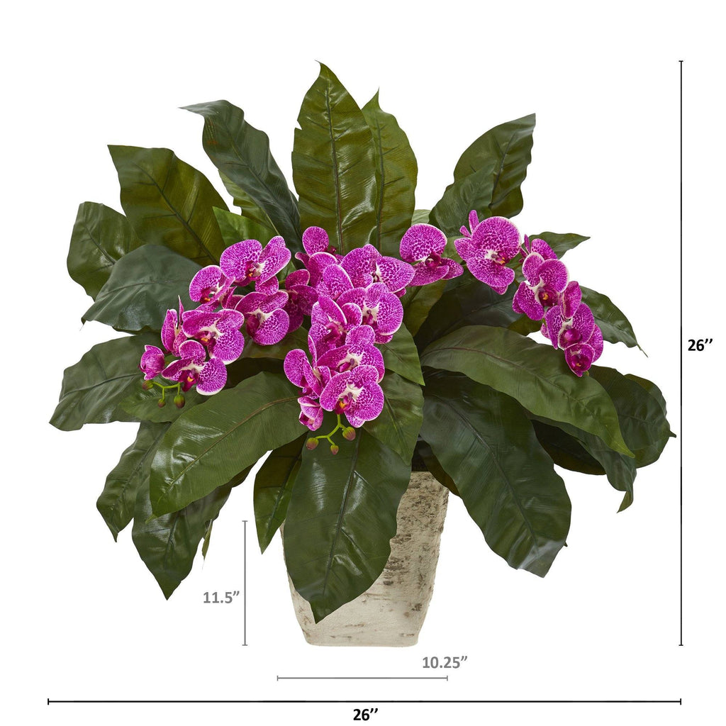 26” Phalaenopsis Orchid and Fern Plant in White Planter