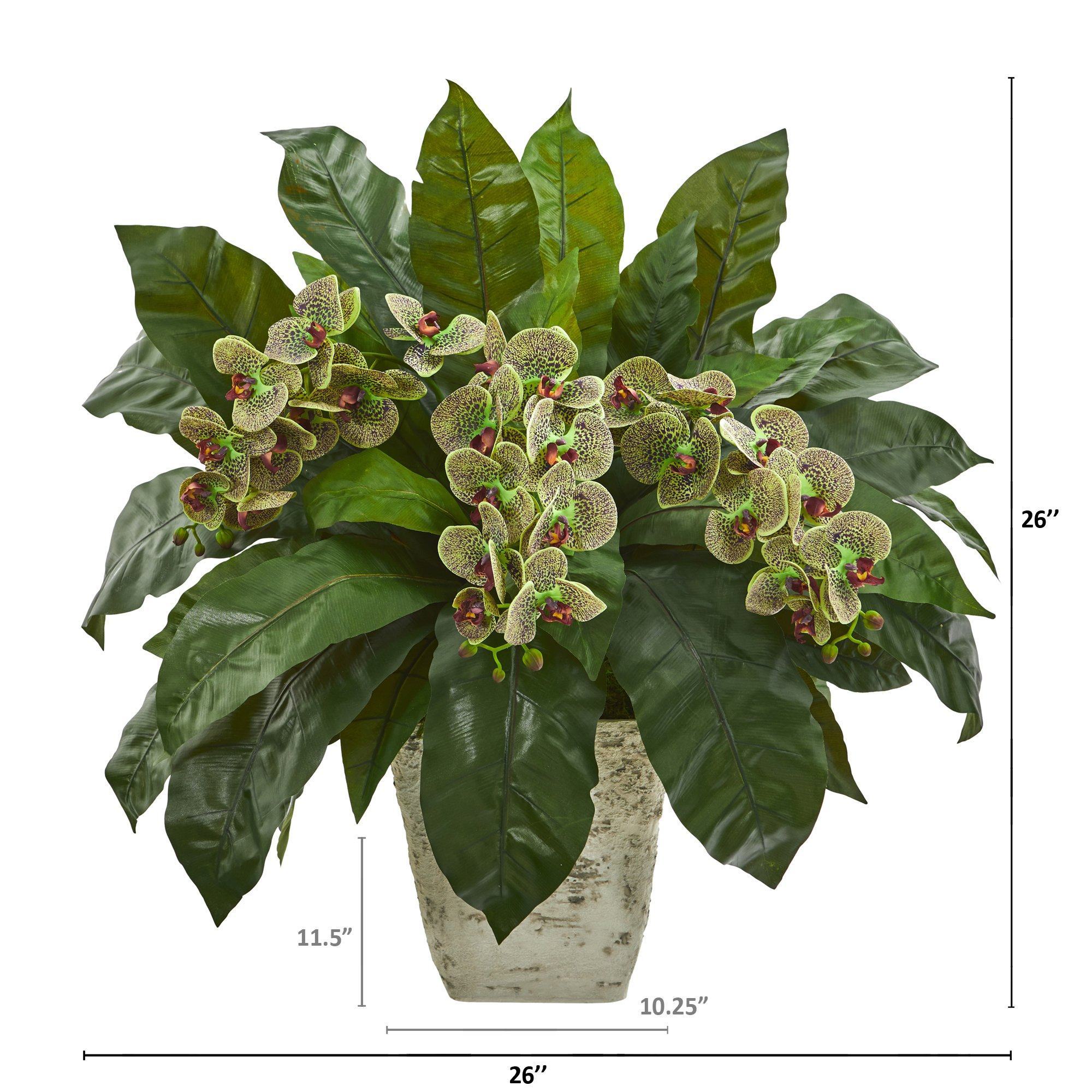 26” Phalaenopsis Orchid and Fern Plant in White Planter