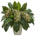 26” Phalaenopsis Orchid and Fern Plant in White Planter