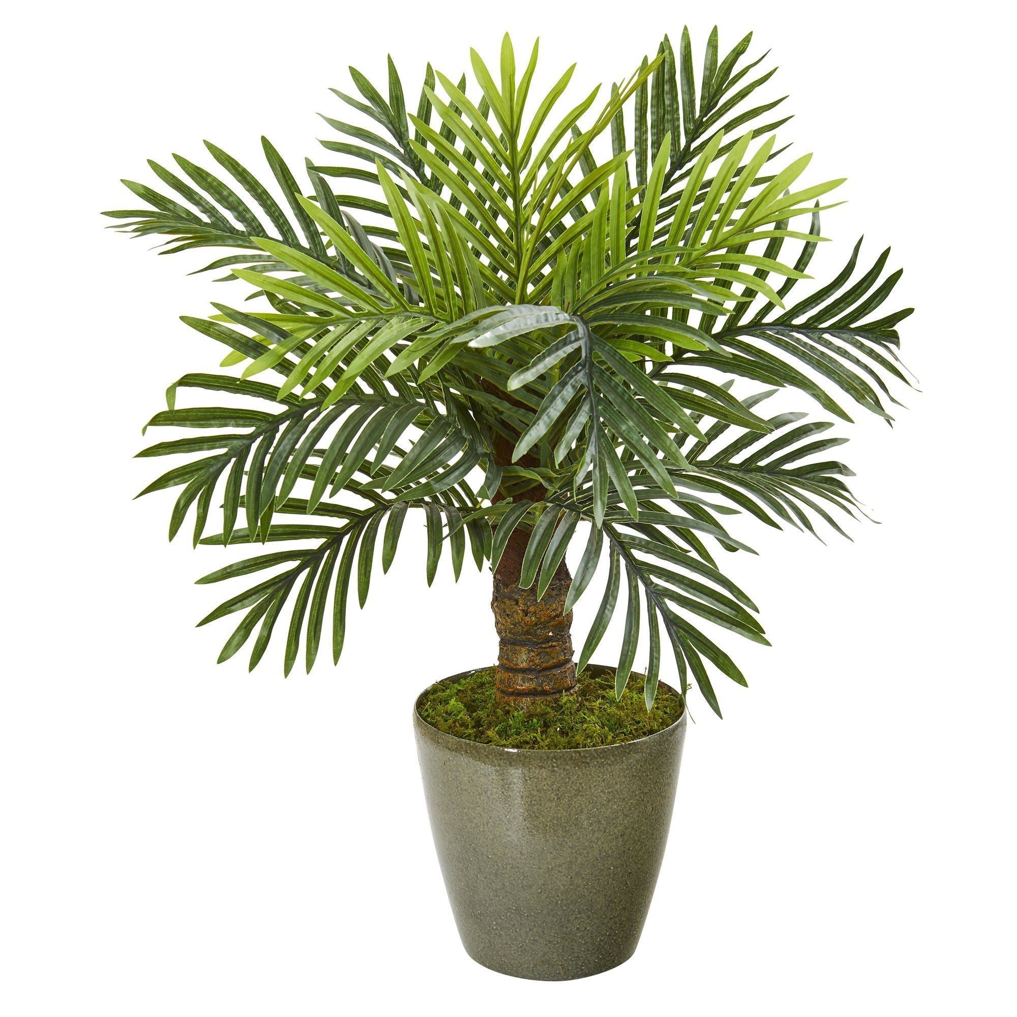 26” Robellini Palm Artificial Tree in Green Planter