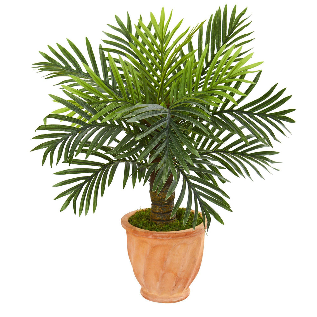 26” Robellini Palm Artificial Tree in Terra-Cotta Planter