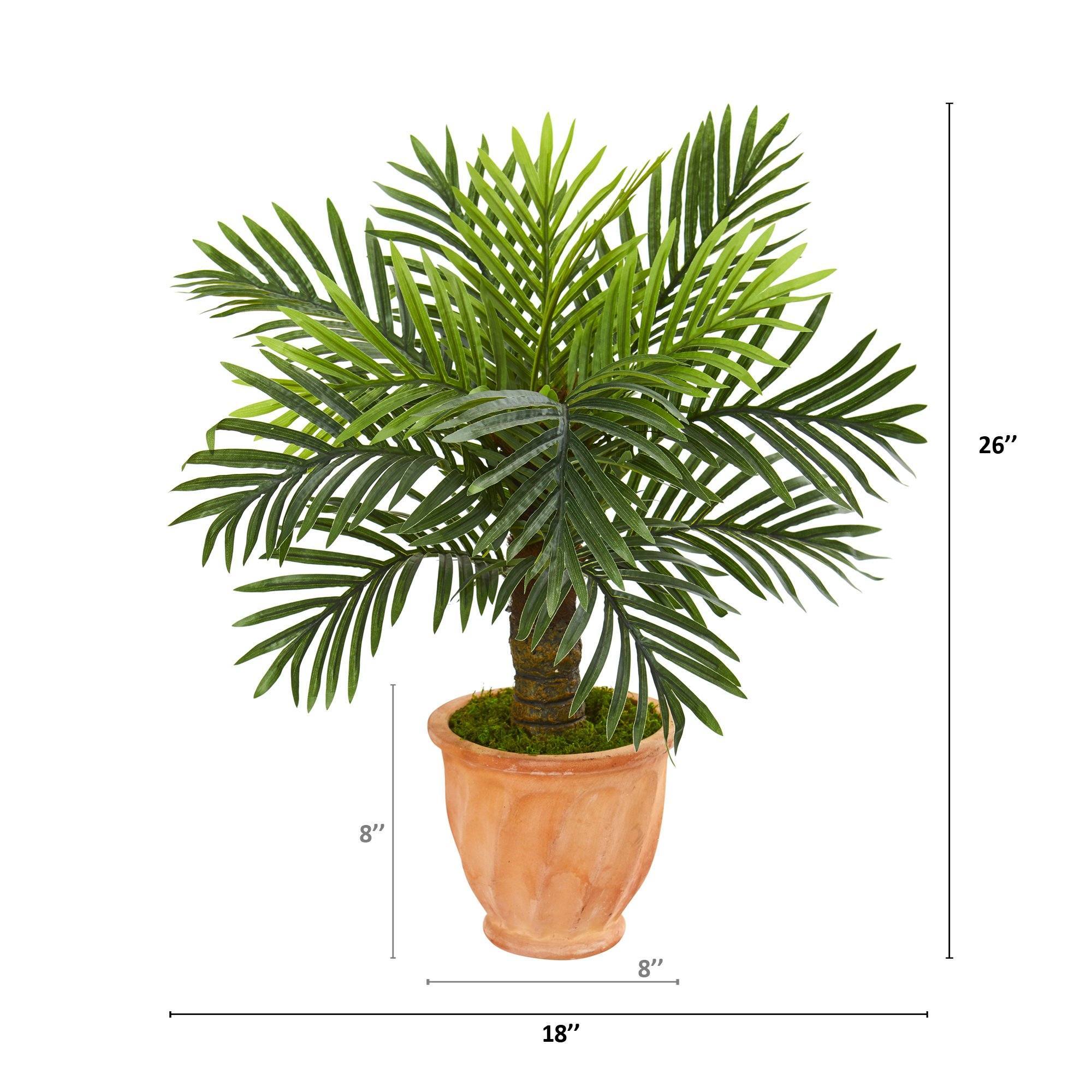 26” Robellini Palm Artificial Tree in Terra-Cotta Planter