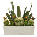 26” Succulent Garden Artificial Plant in White Planter