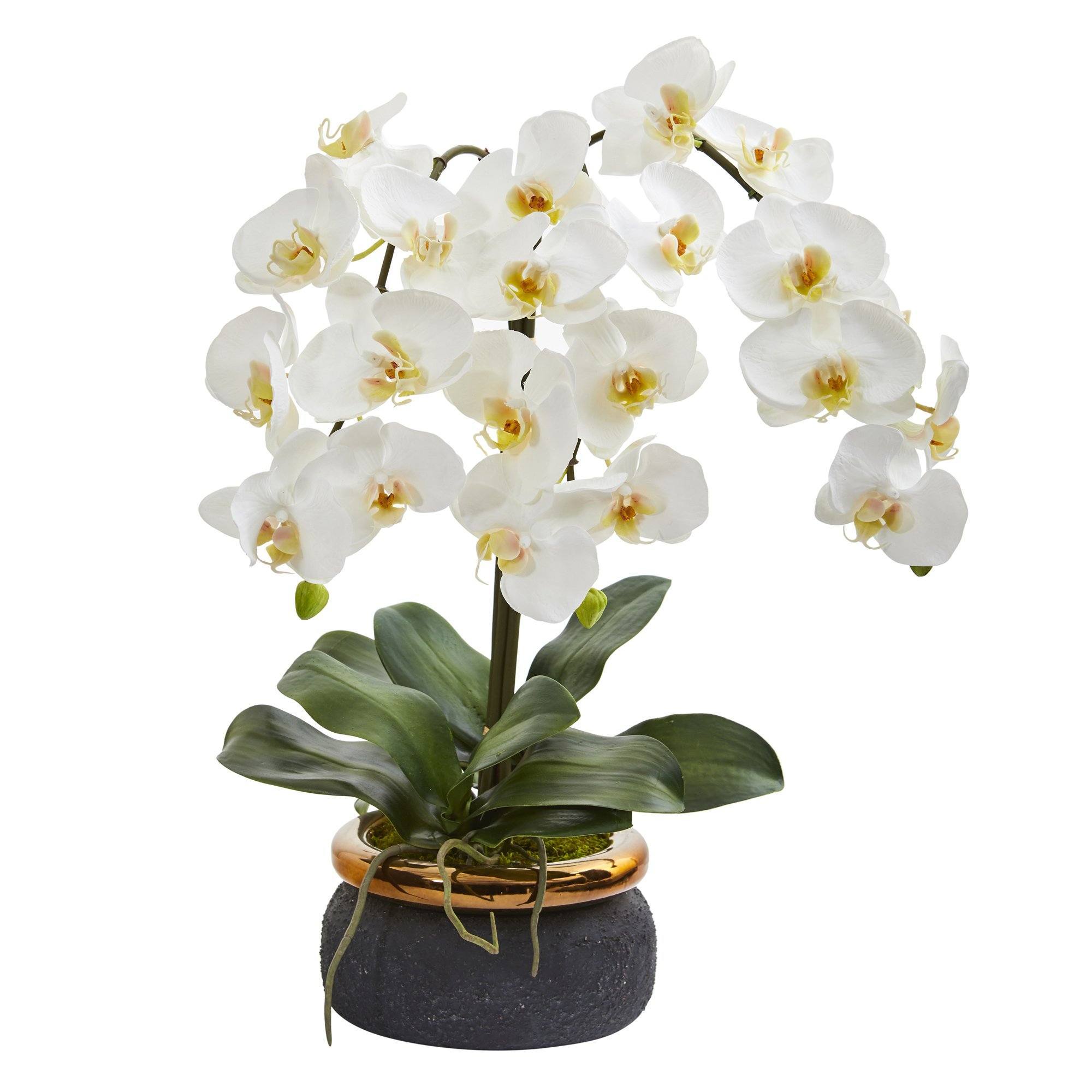 26” Triple Phalaenopsis Orchid Artificial Arrangement in Black Vase with Bronze Rim